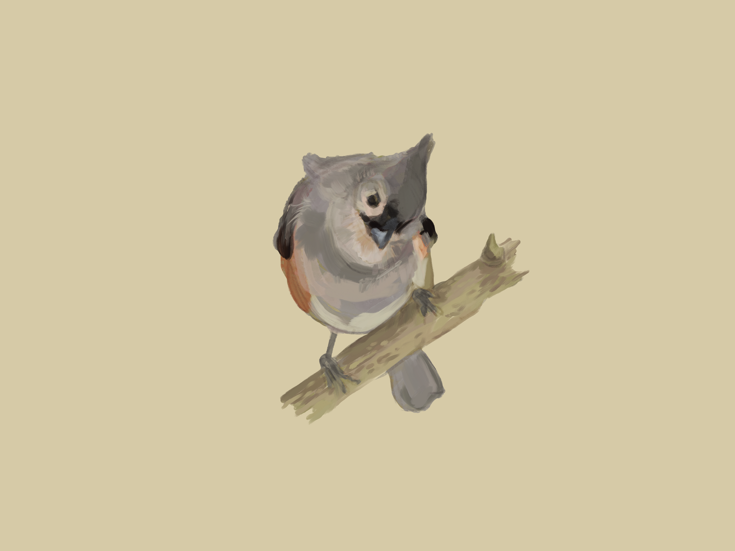 Print | Tufted Titmouse | 6"x8"