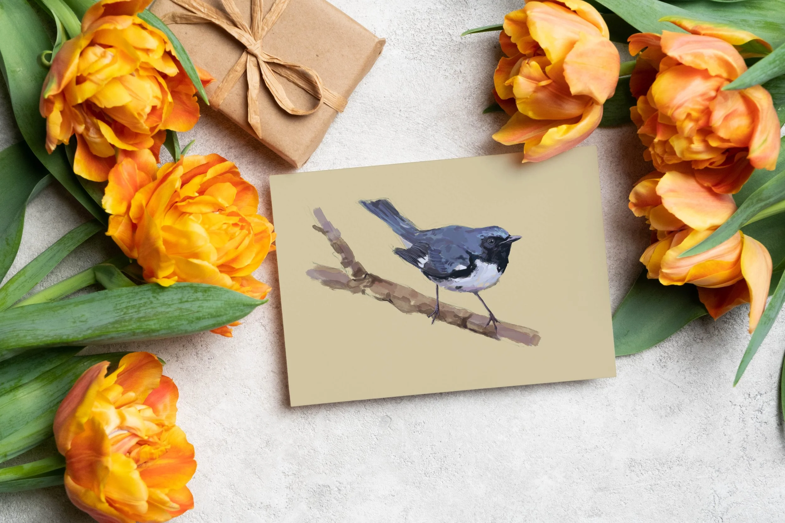 BTB Warbler Greeting Card.jpg