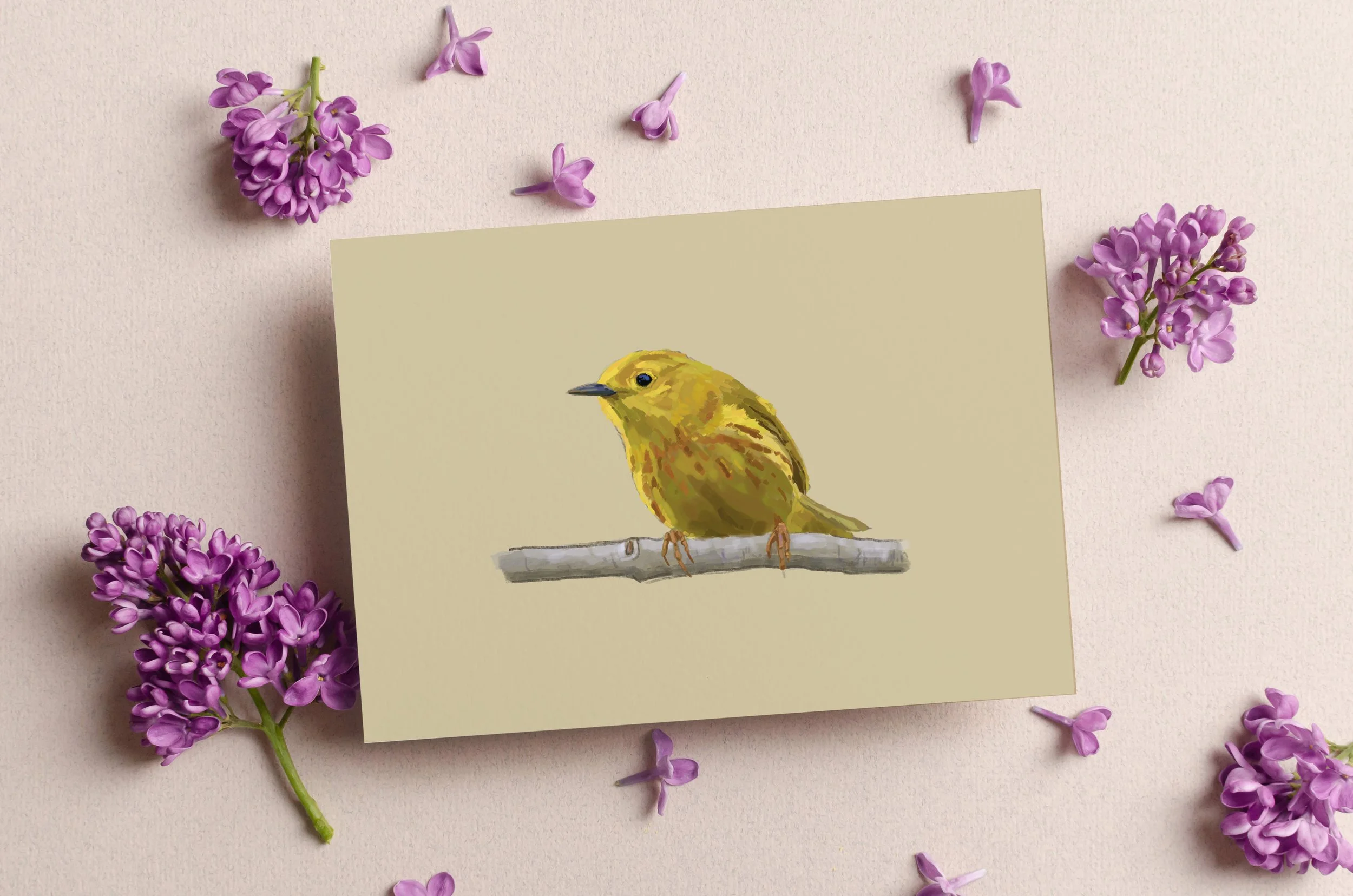 Yellow Warbler Greeting Card.jpg