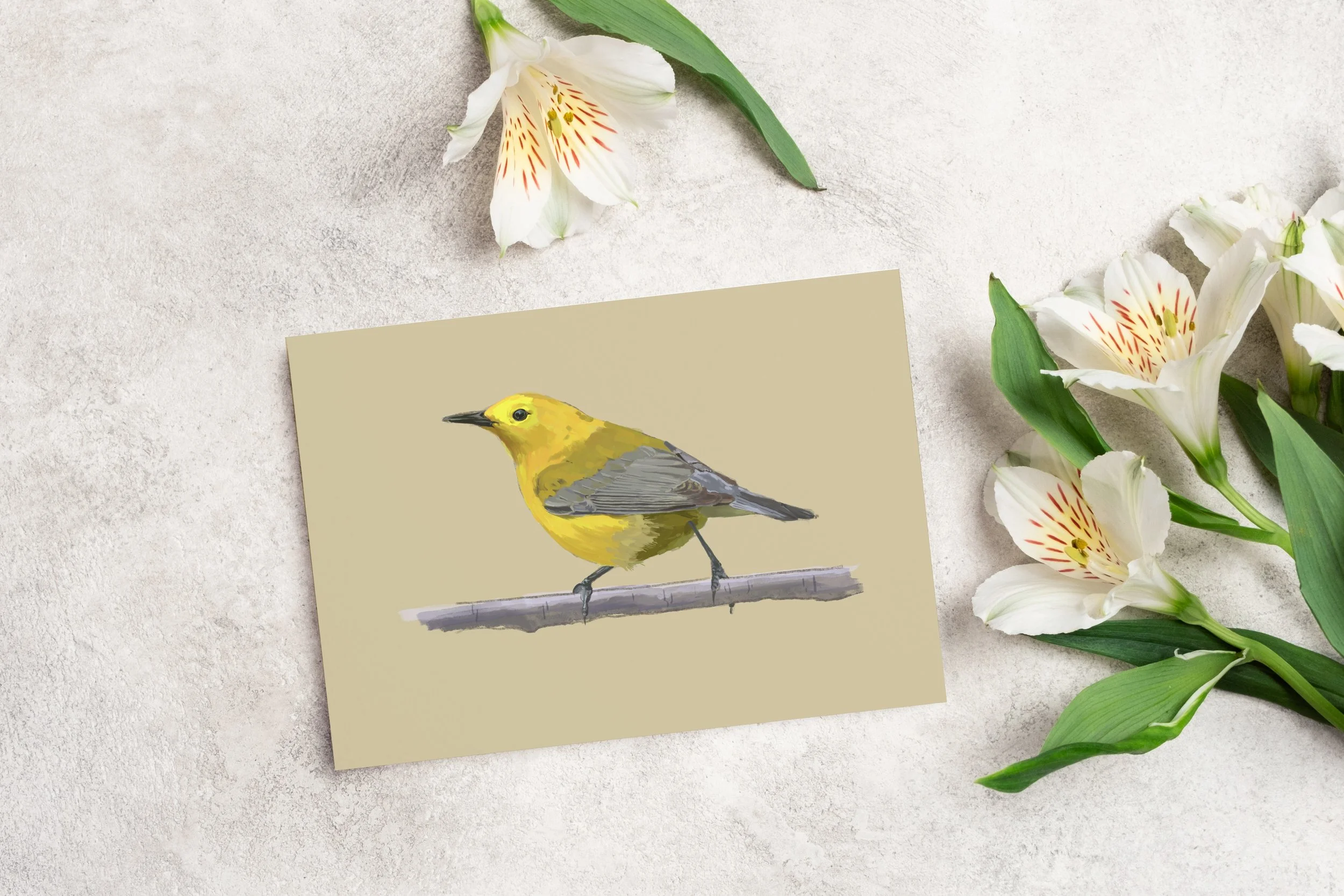Proth Warbler Greeting Card.jpg