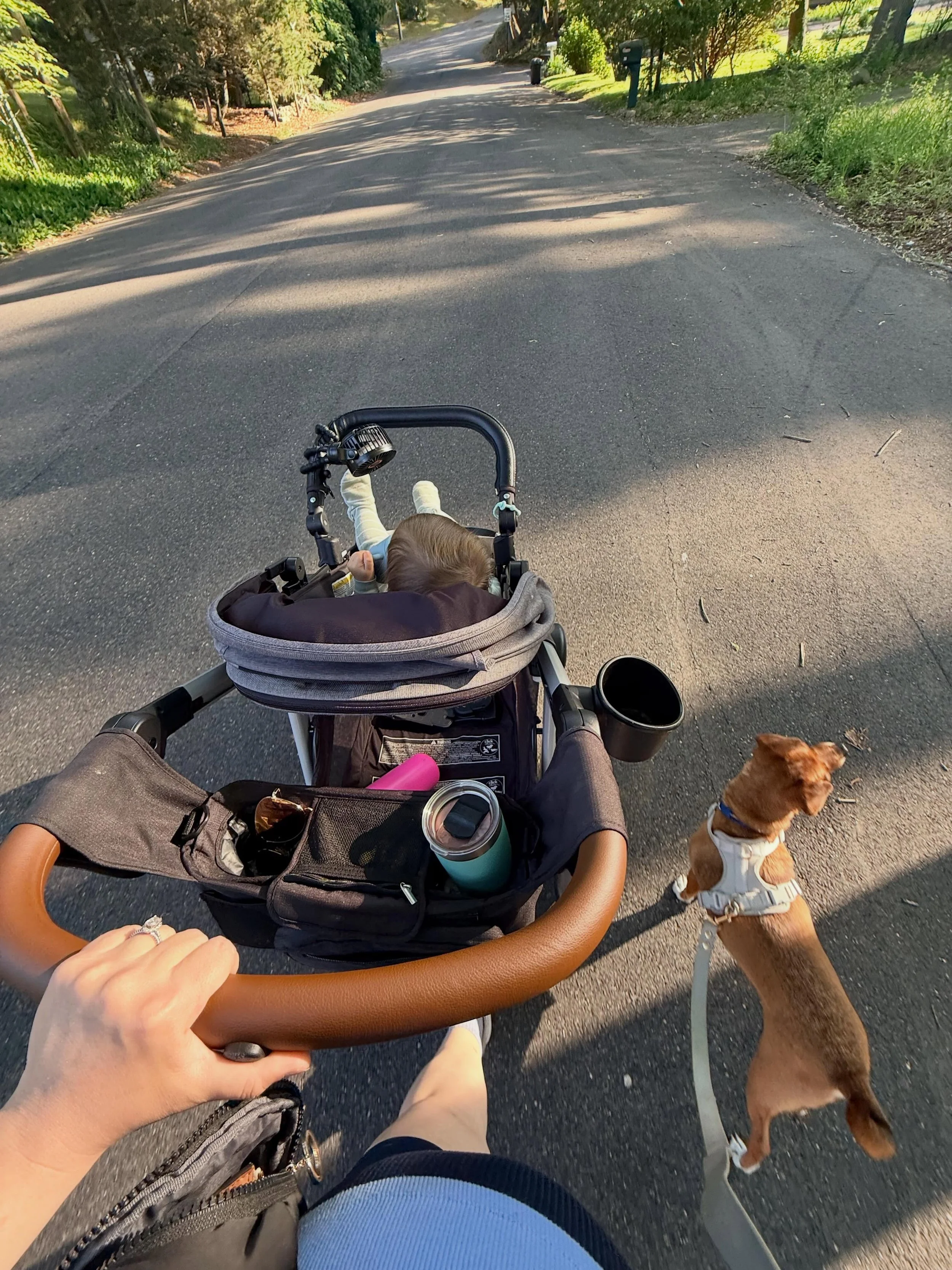 Morning walk + smoothie 😁🫶🏽 supposed to be a heat advisory AND air quality alert today, so we got a walk in nice and early - and brought our smoothies with us 😎 we are in the phase of real messy eating with most of the food ending up on the floor
