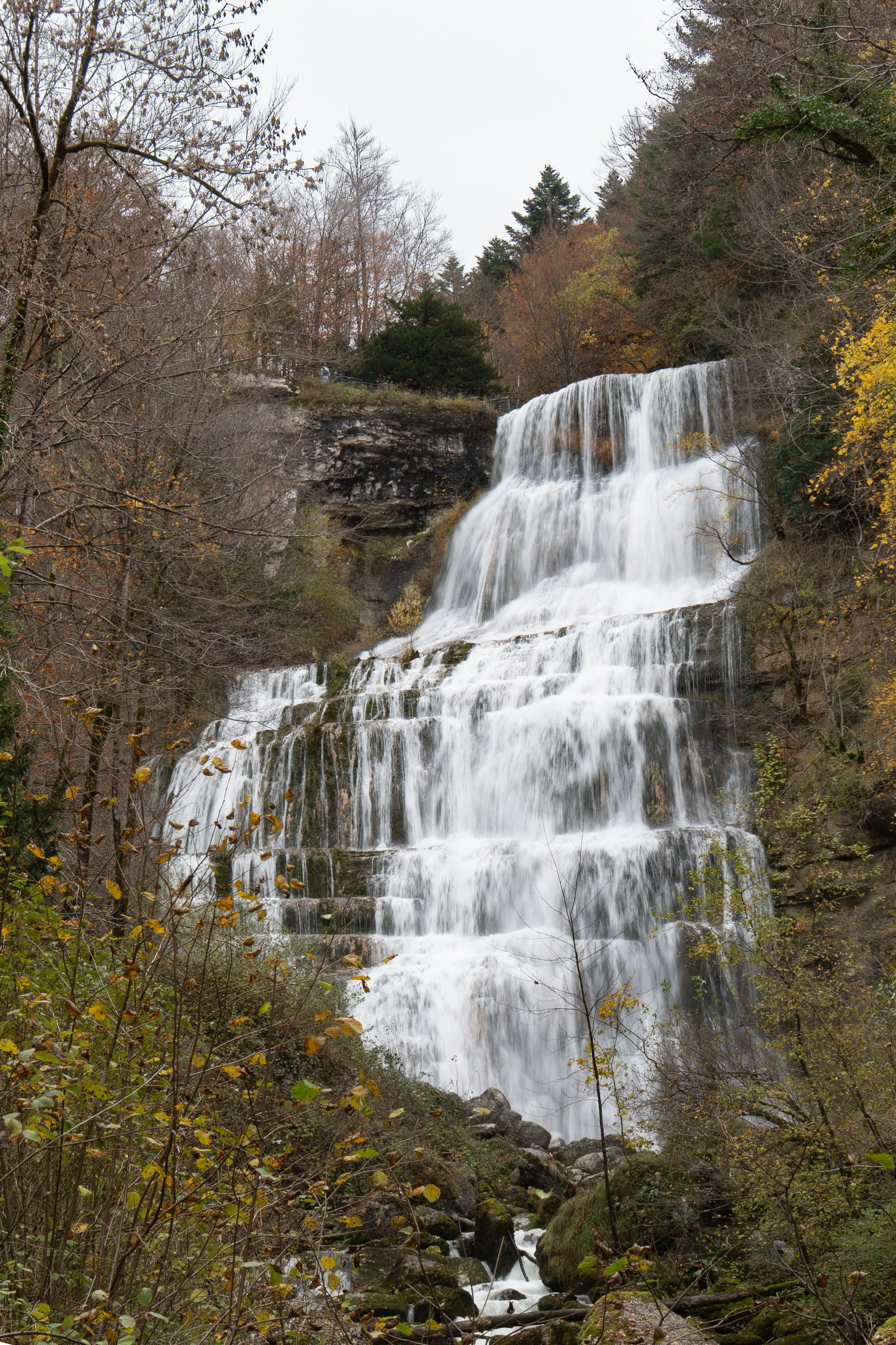 _DSC1152.jpg