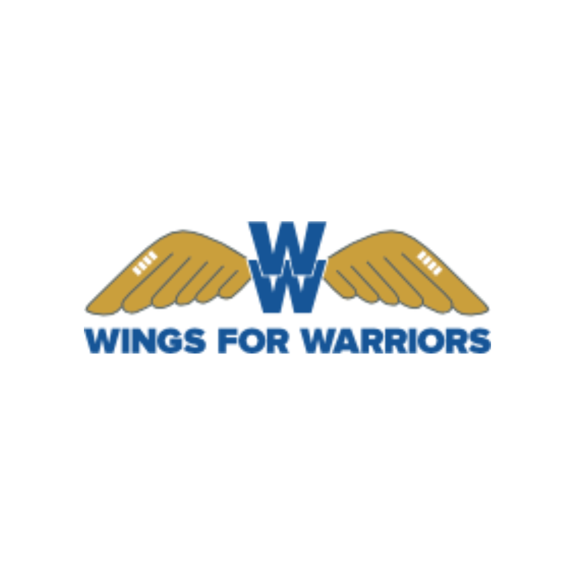 Wings for Warriers logo