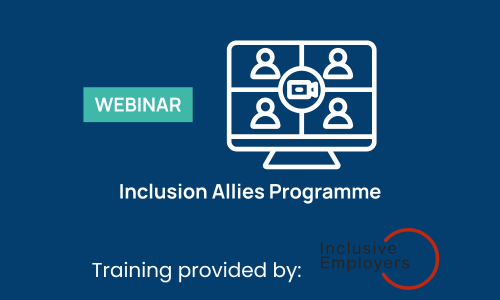 Inclusion Allies Programme