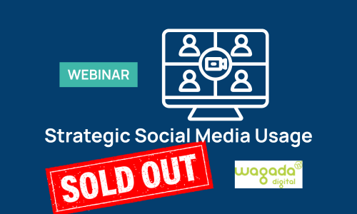 Strategic Social Media Usage