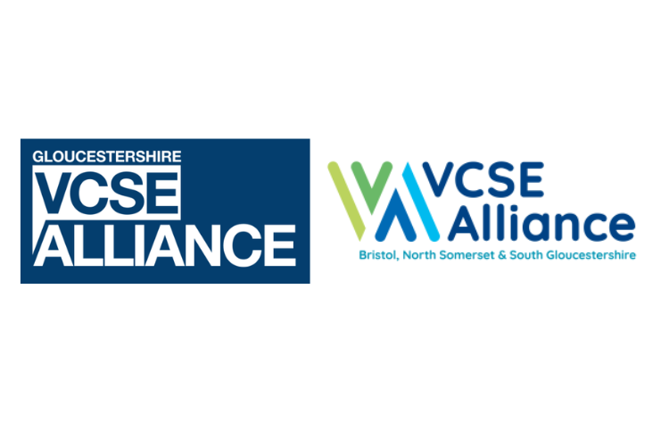 Proposal: The role of the VCSE sector in NHS strategic commissioning 