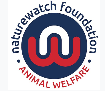 Cheltenham parkrun for World Animal Day