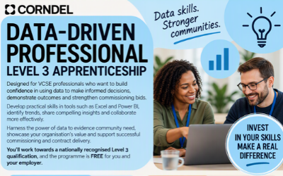 Funded Pilot: Digital Data Driven Professional Level 3 Apprenticeship