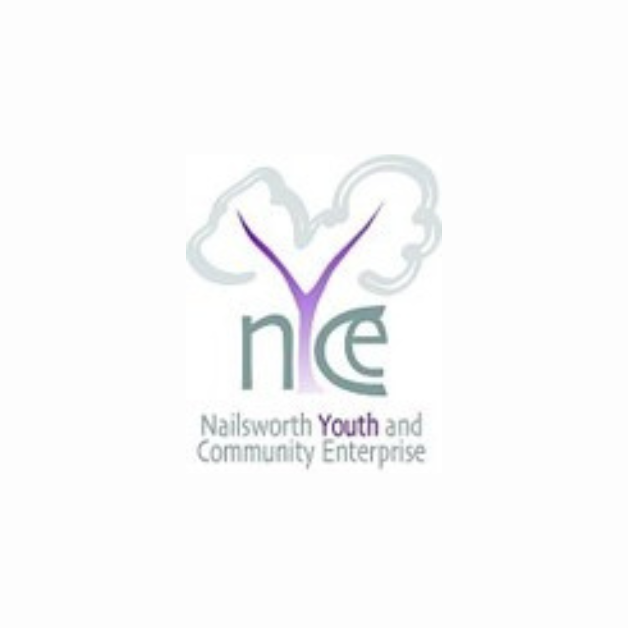 Nailsworth Youth & Community Enterprise  logo