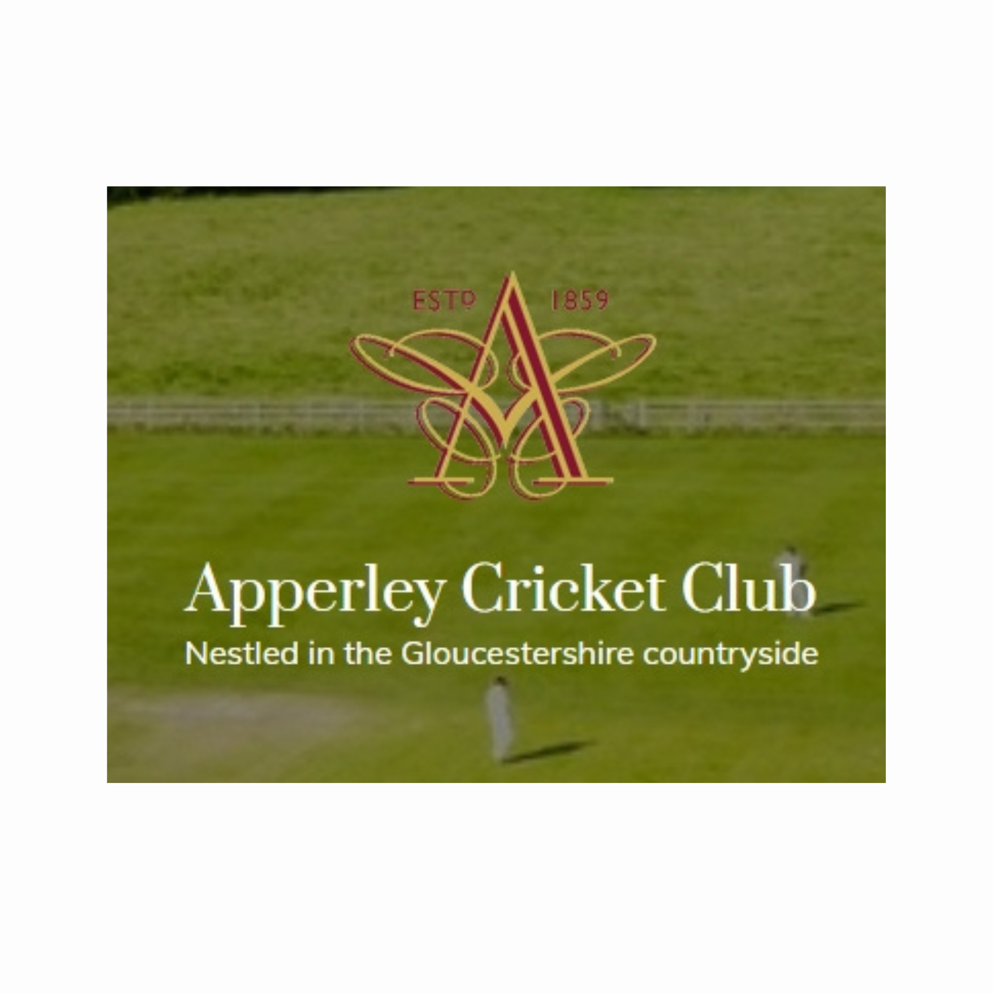 Apperley Cricket Club logo