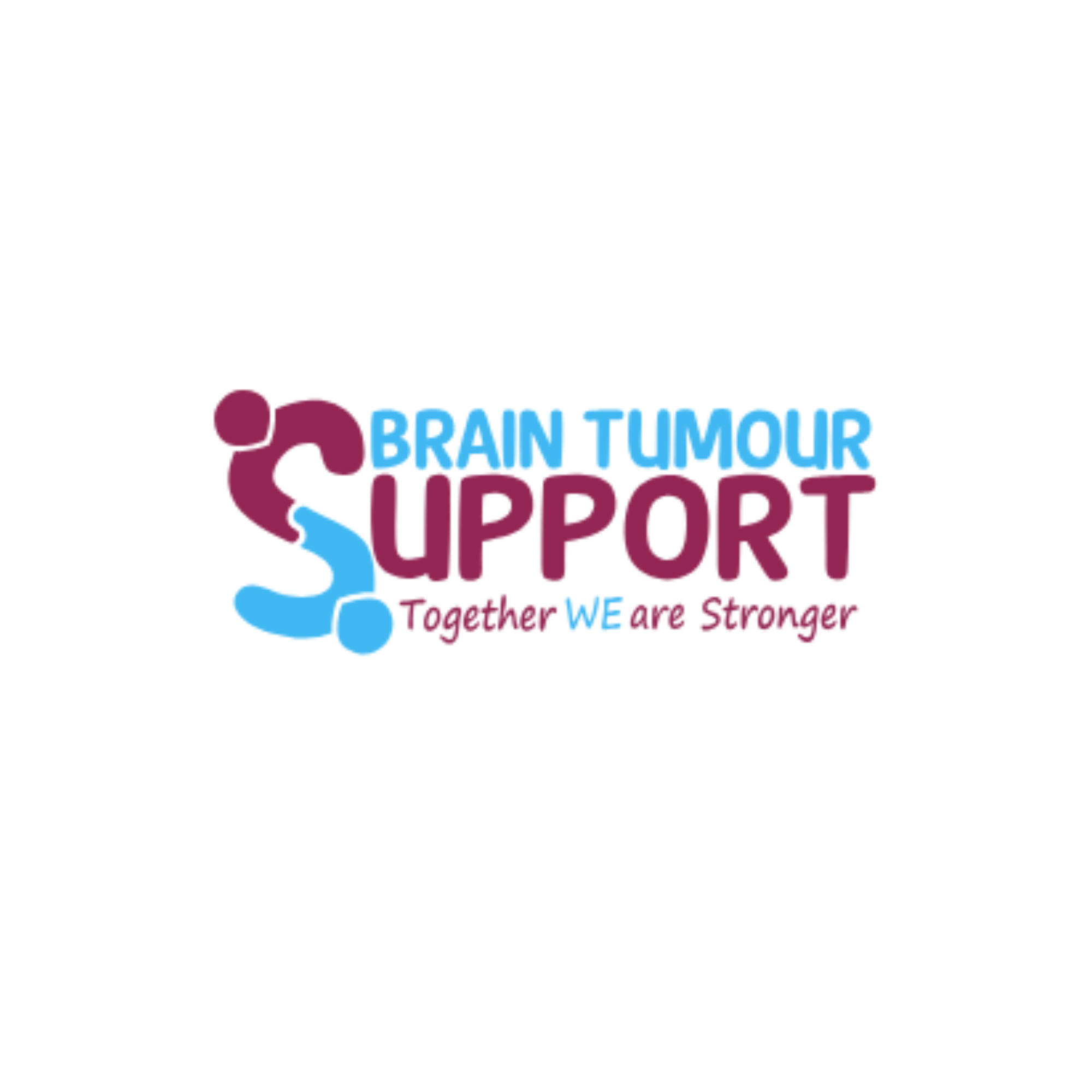 Brain Tumour Support logo
