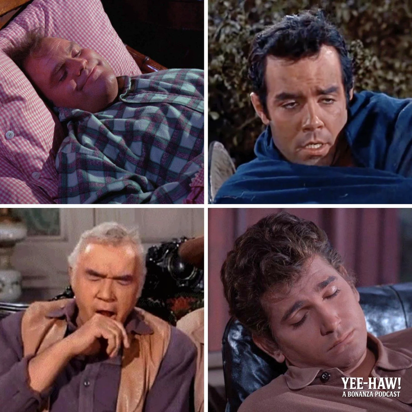Tag yourself! Ever since the time change, I've struggled to adjust. You? 🥱

#repost #bonanza #western #funny #classictv #retrotv #pernellroberts #michaellandon #lornegreene #danblocker