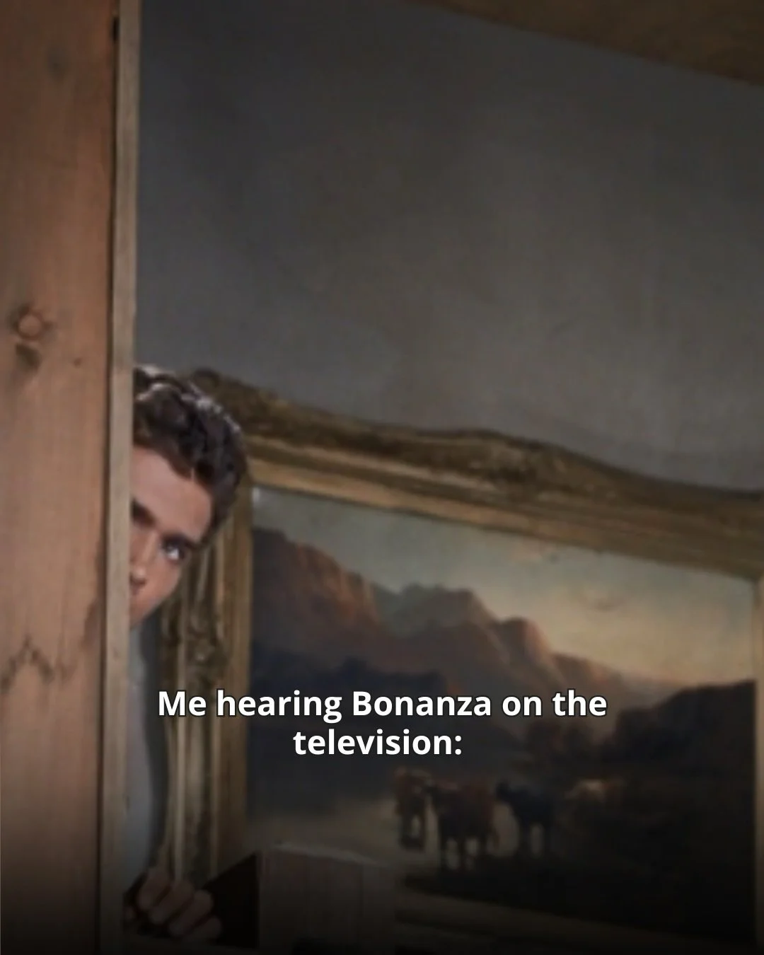 Which one best describes you? 😂👀

#bonanza #western #retrotv #michaellandon #littlejoe