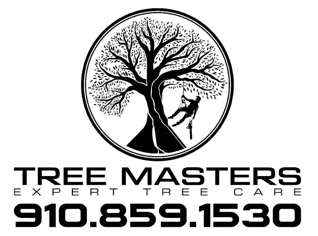 Tree Masters Expert Tree Care 2026