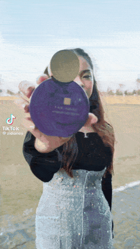 SSWA tiktok 5 .gif