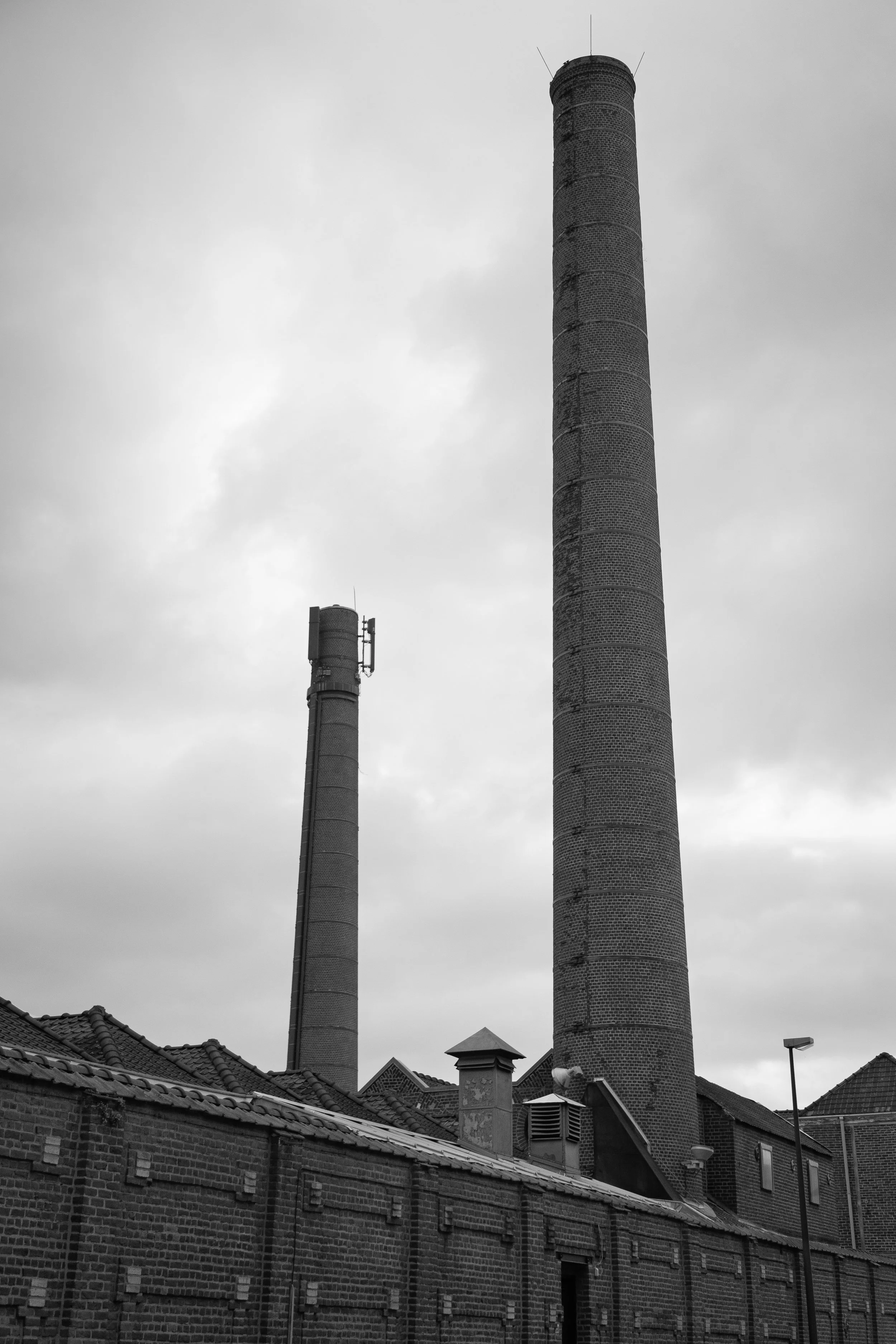 cheminee x2(1).jpg