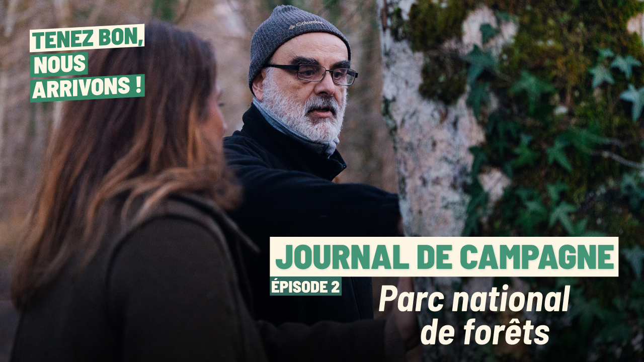 Épisode 2 - Parc national de forêts