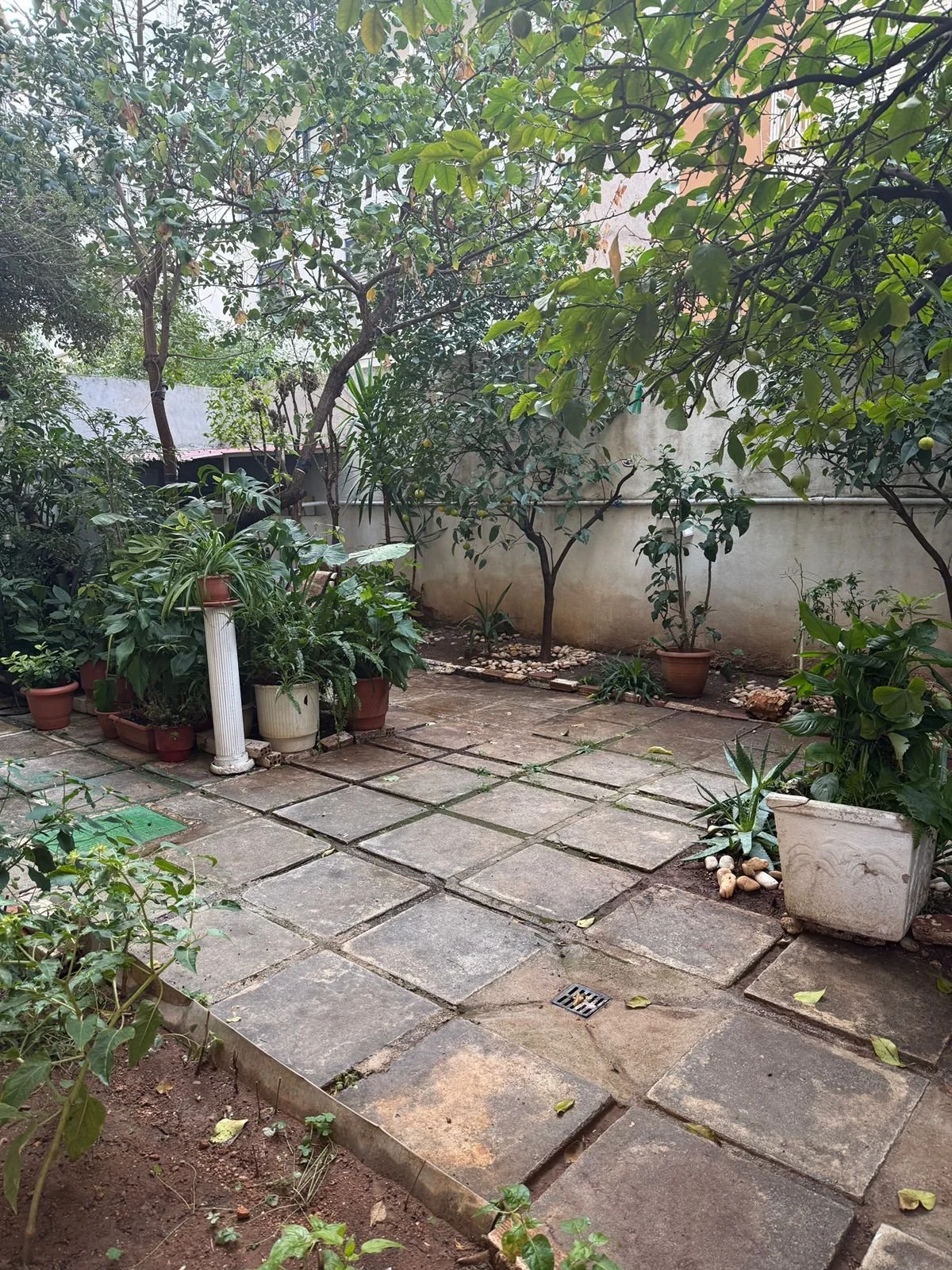 A backyard garden with potted plants, trees, and a stone patio surrounded by a white wall.