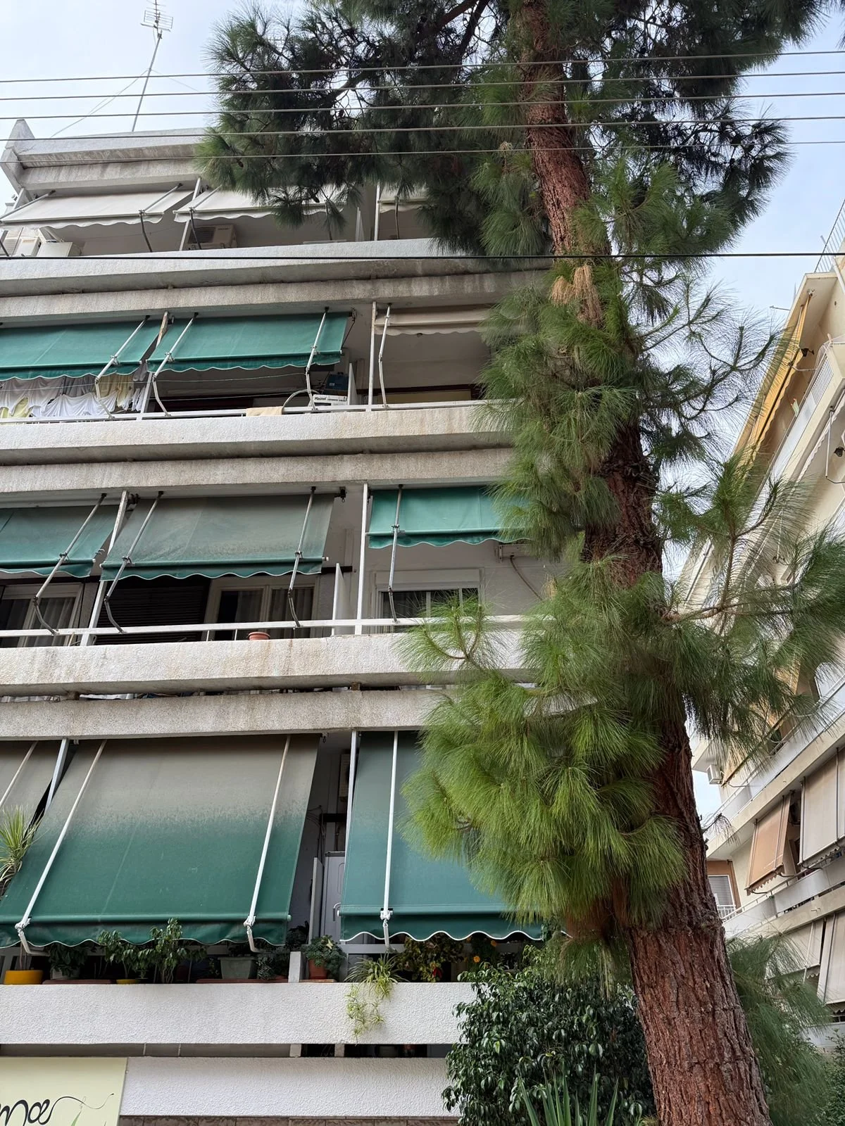 Multiple floors of an apartment building with green awnings and potted plants on the balconies. A large tree is in front of the building, with its branches and leaves partially obscuring the view.