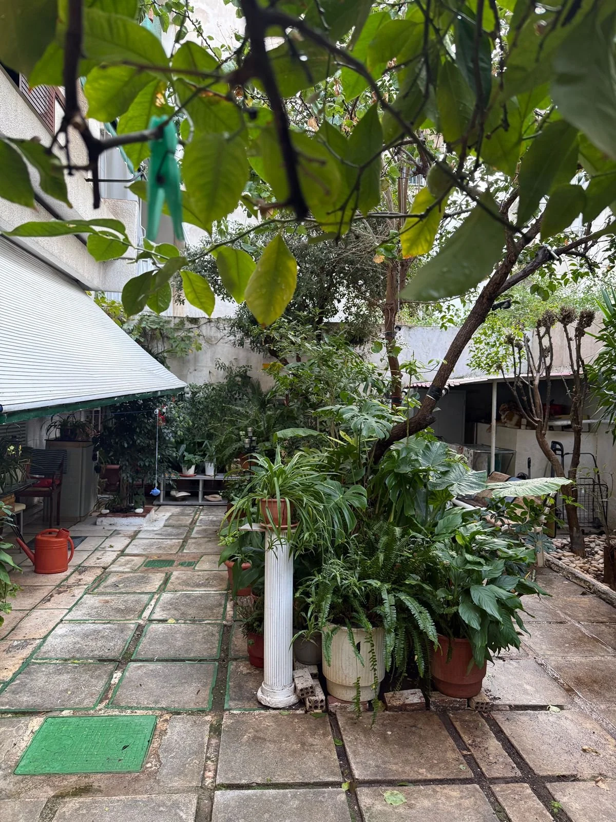 A small garden patio with potted plants, some on a white column, and trees and shrubs in the background. There are potted plants, a watering can, and an awning on the left side.