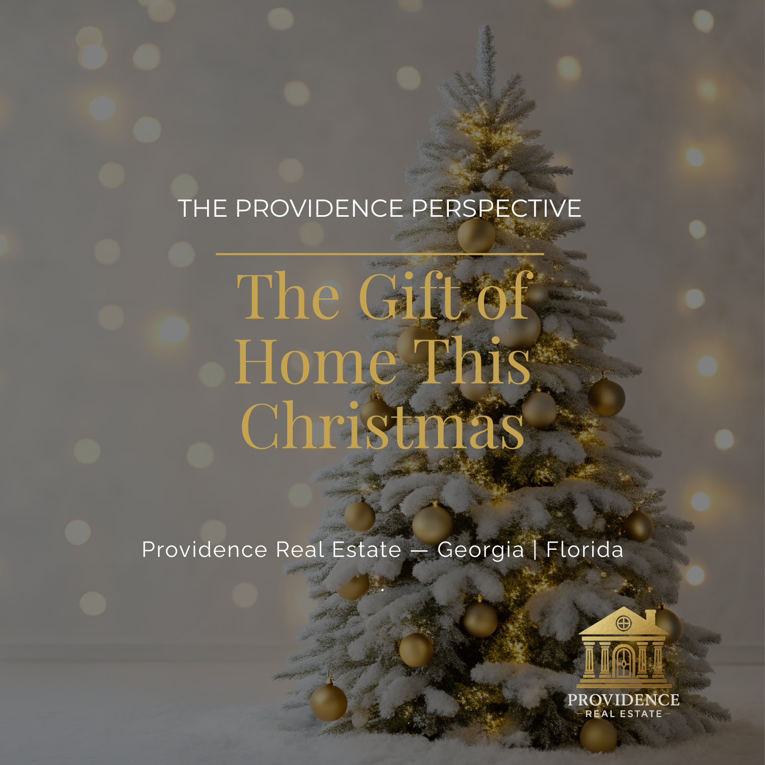The Providence Perspective: The Gift of Home — What This Season Teaches Us About Where We Belong