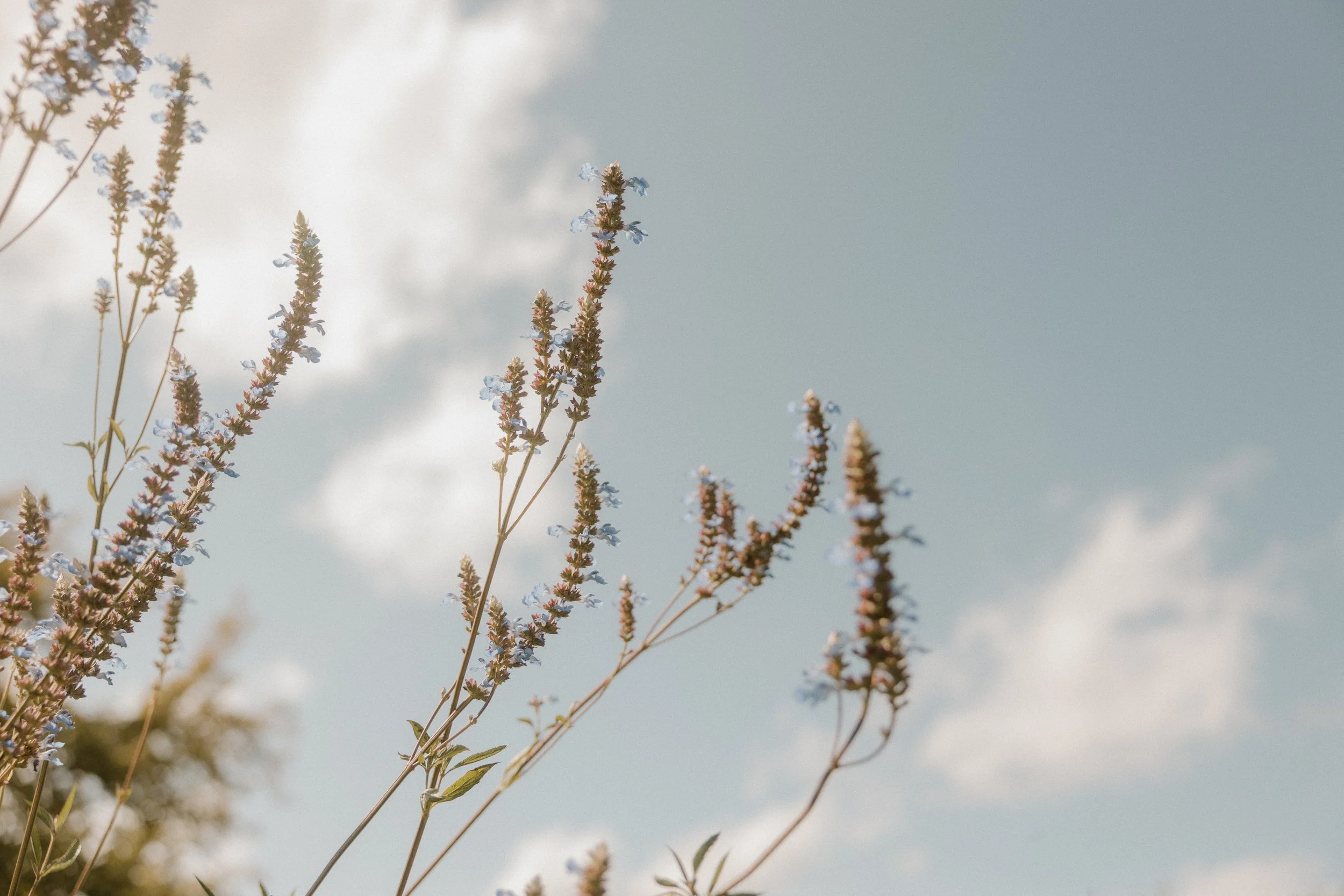 Anne und Tobi_2025-268.jpg