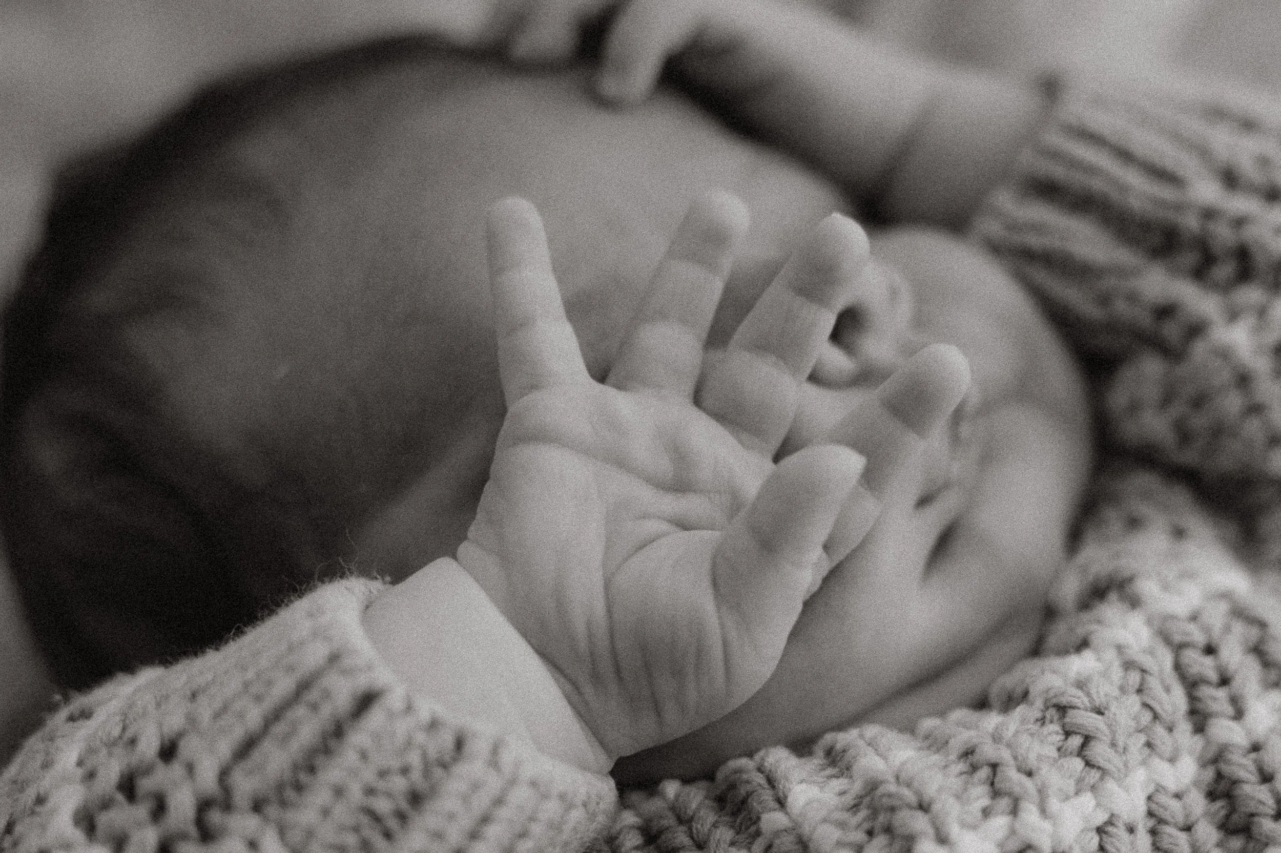 a new born story / Massimo