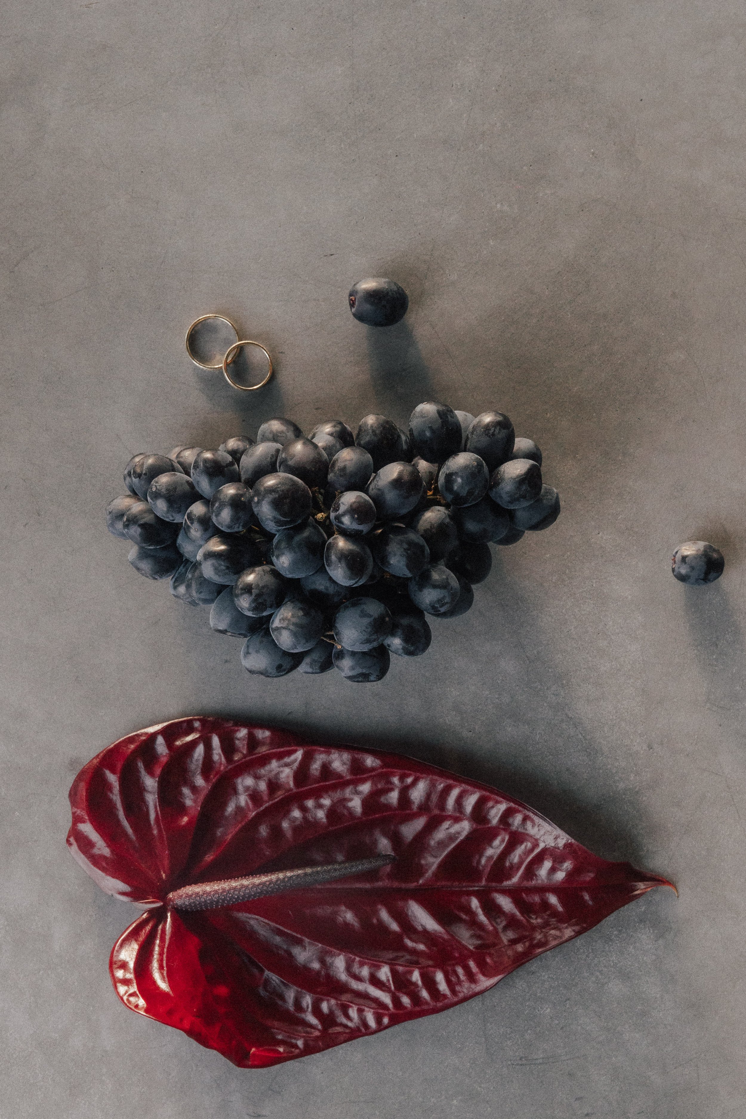 Marinova x Schneiderei-143.jpg