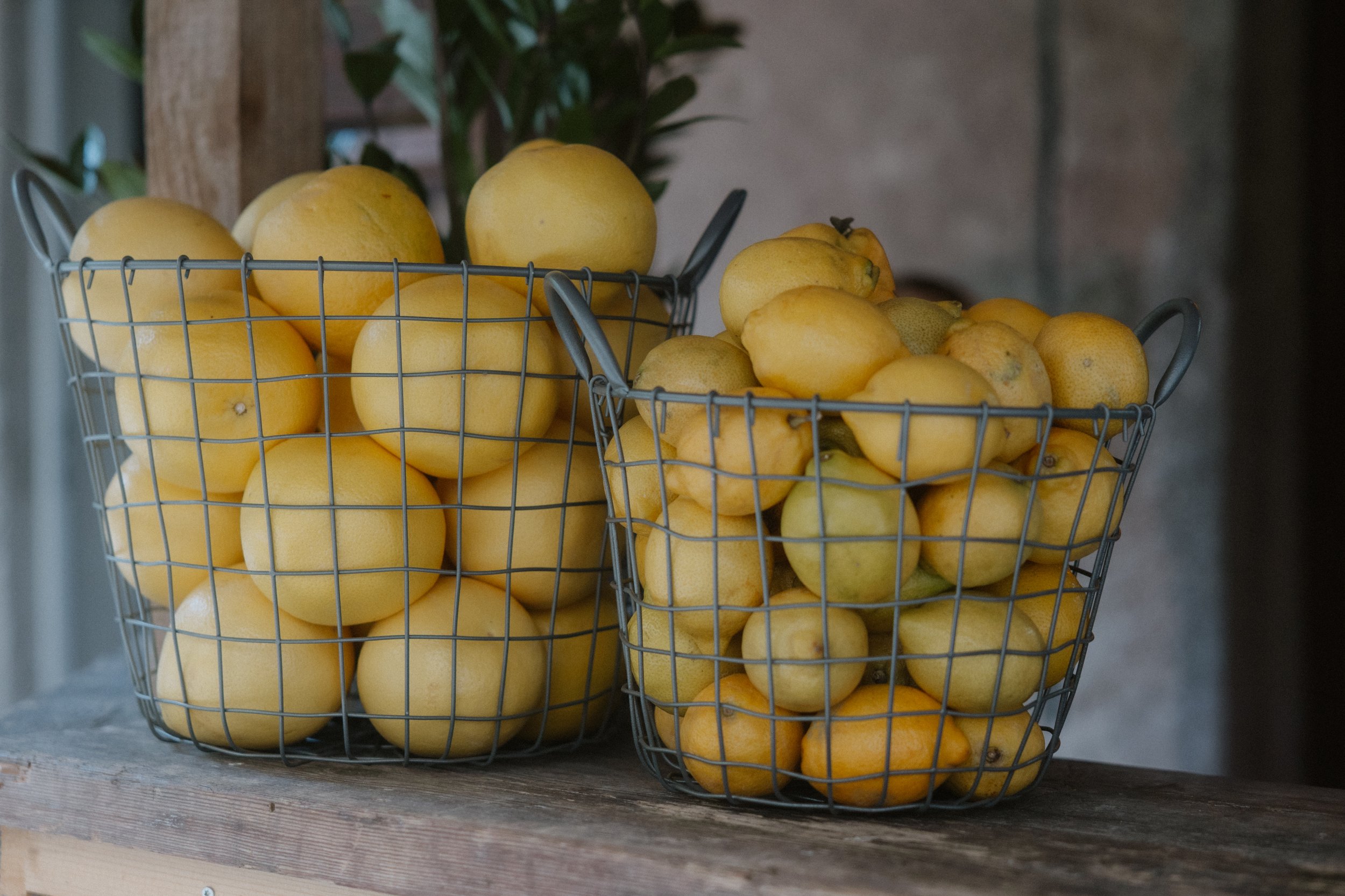Zwei Metallkörbe mit Zitronen auf einem Holztisch, im Hintergrund einige grüne Pflanzen im Kraftwerk Rotteweil bei einer Hochzeitsparty mit dem Fotografen Pia Heim.