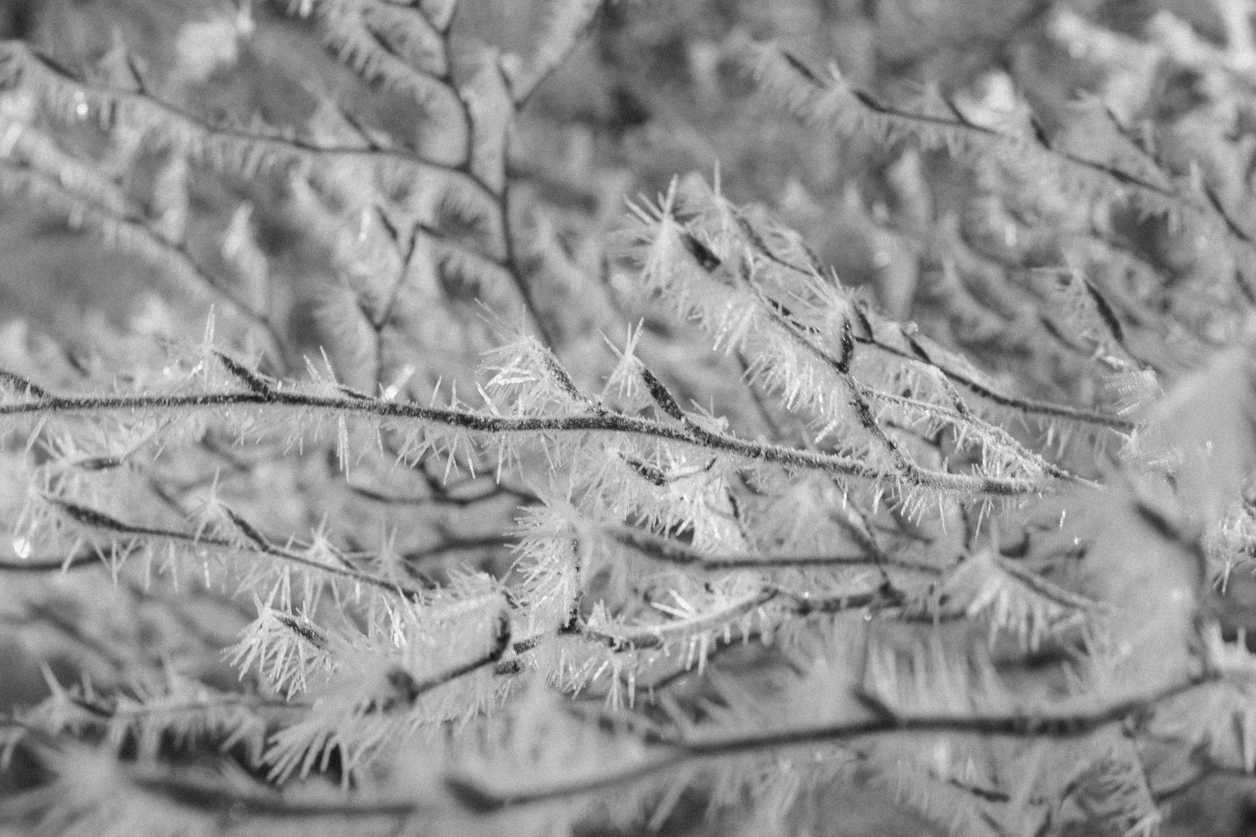 Leo und Sarah_2025-34.jpg