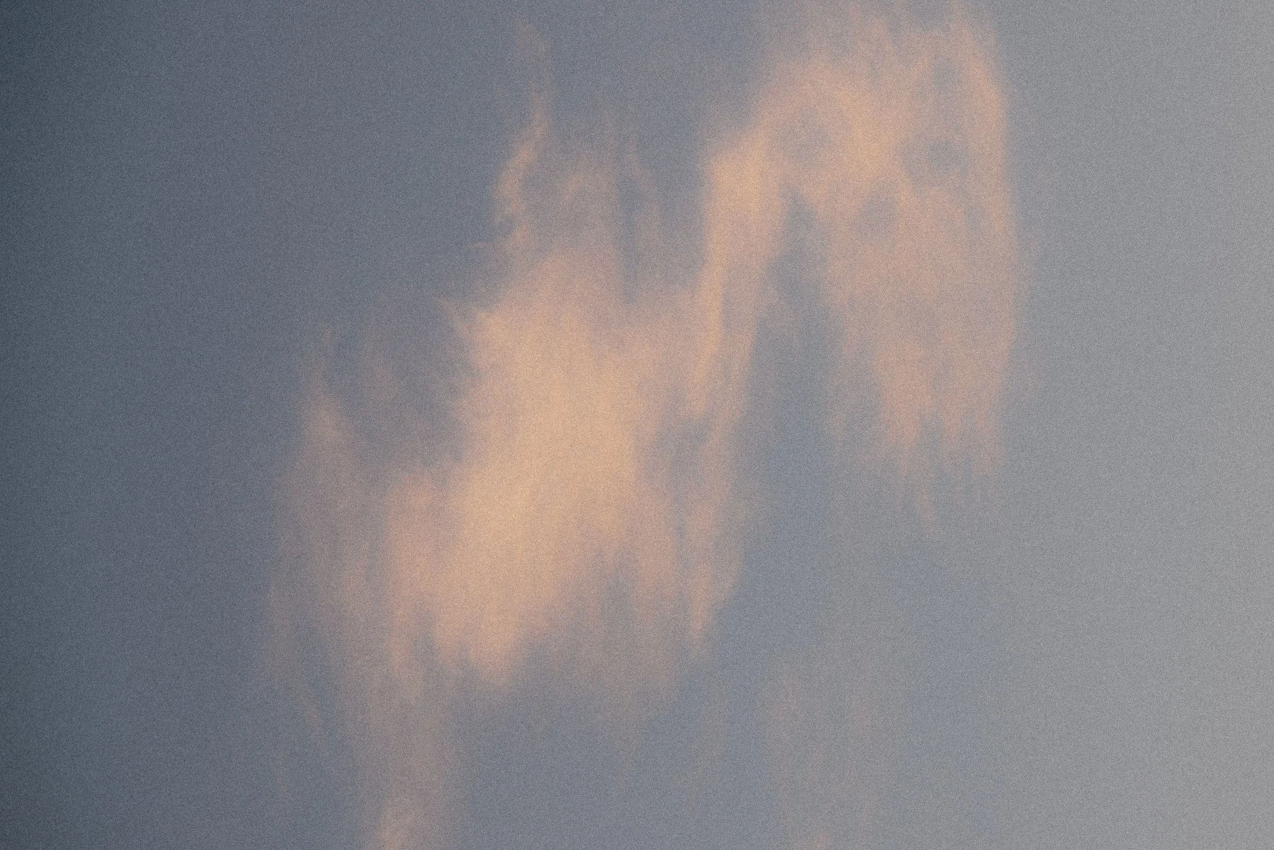 Rosalie Sohmer_2025-36.jpg