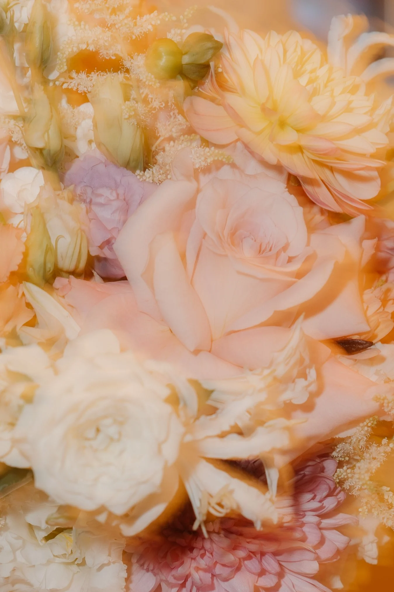 Lisa und Leo_2025-214.jpg