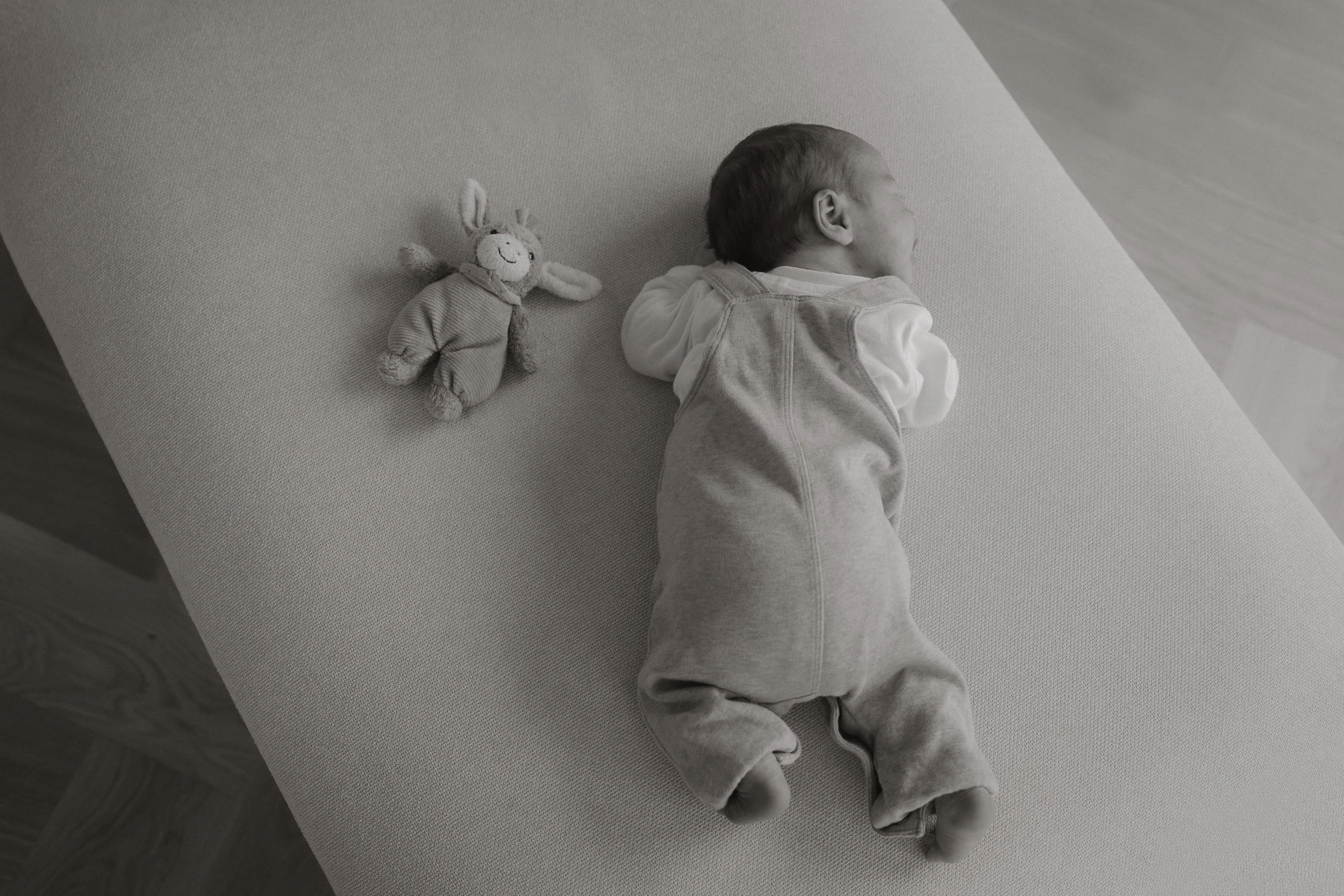 Ein neugeborenes Baby liegt auf einem weichen Sofa, trägt einen Overall, neben einem Stofftier