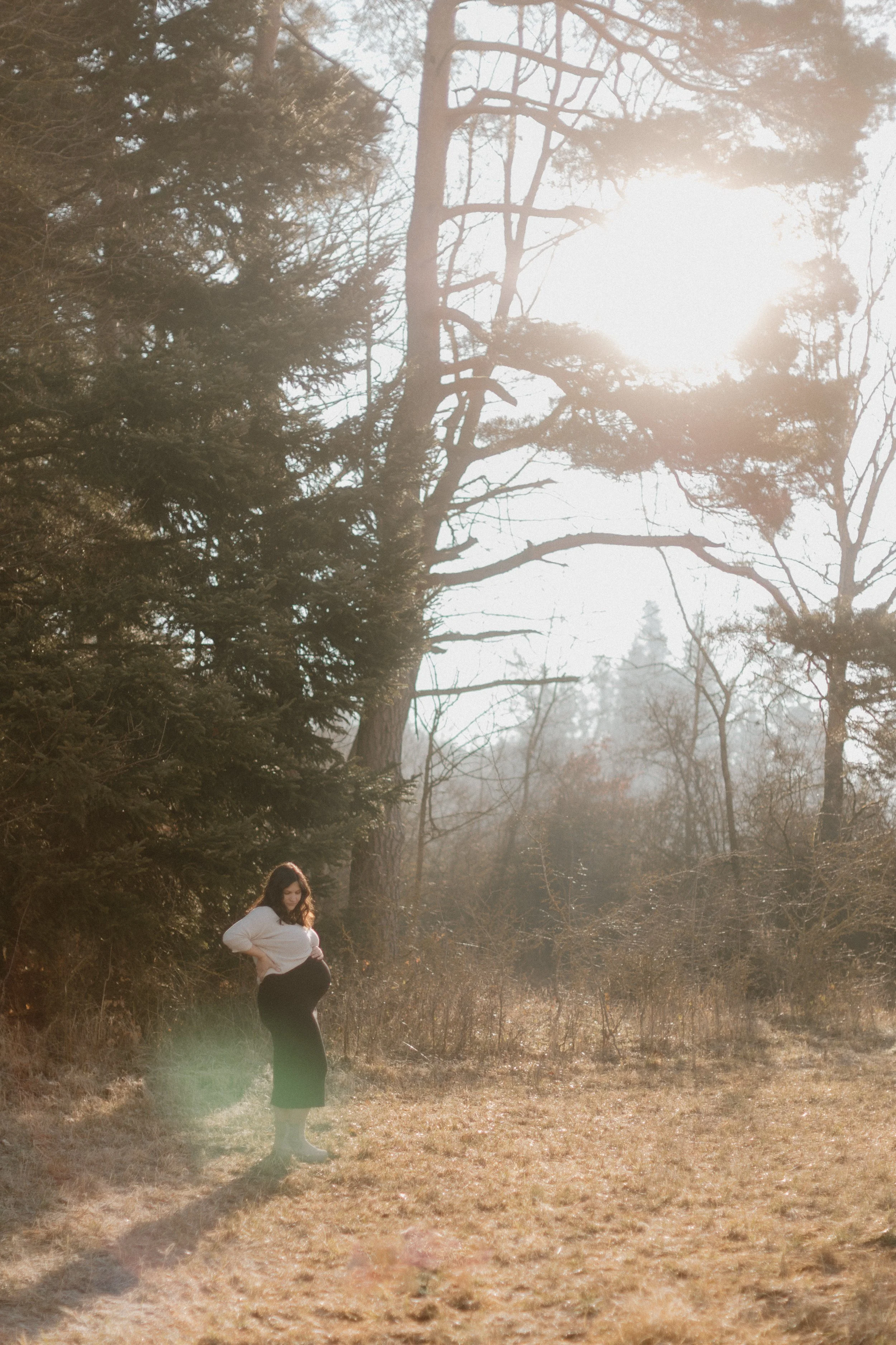 Ein schwangere Frau steht in einem sonnigen, offenen Feld vor Baum gesäumter Waldlandschaft.