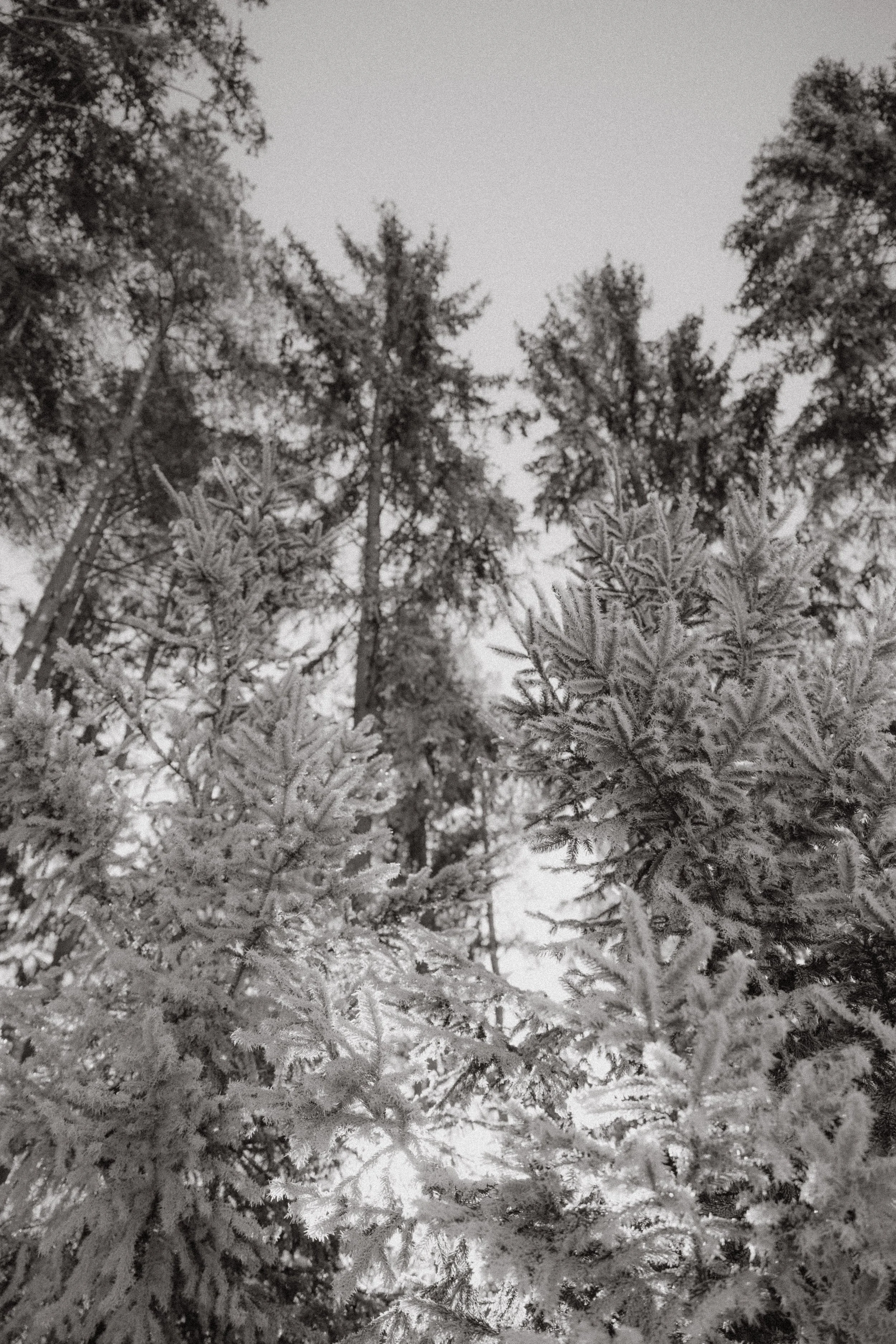 Leo und Sarah_2025-31.jpg