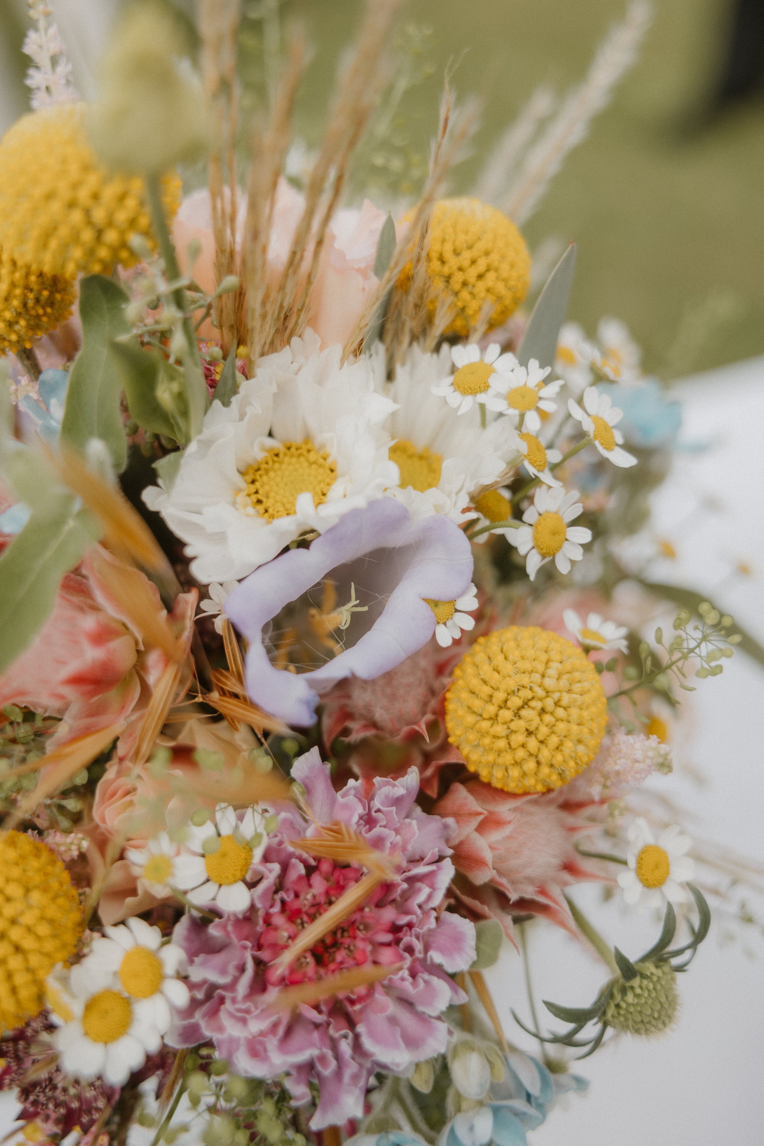 Anne und Tobi_2025-239.jpg