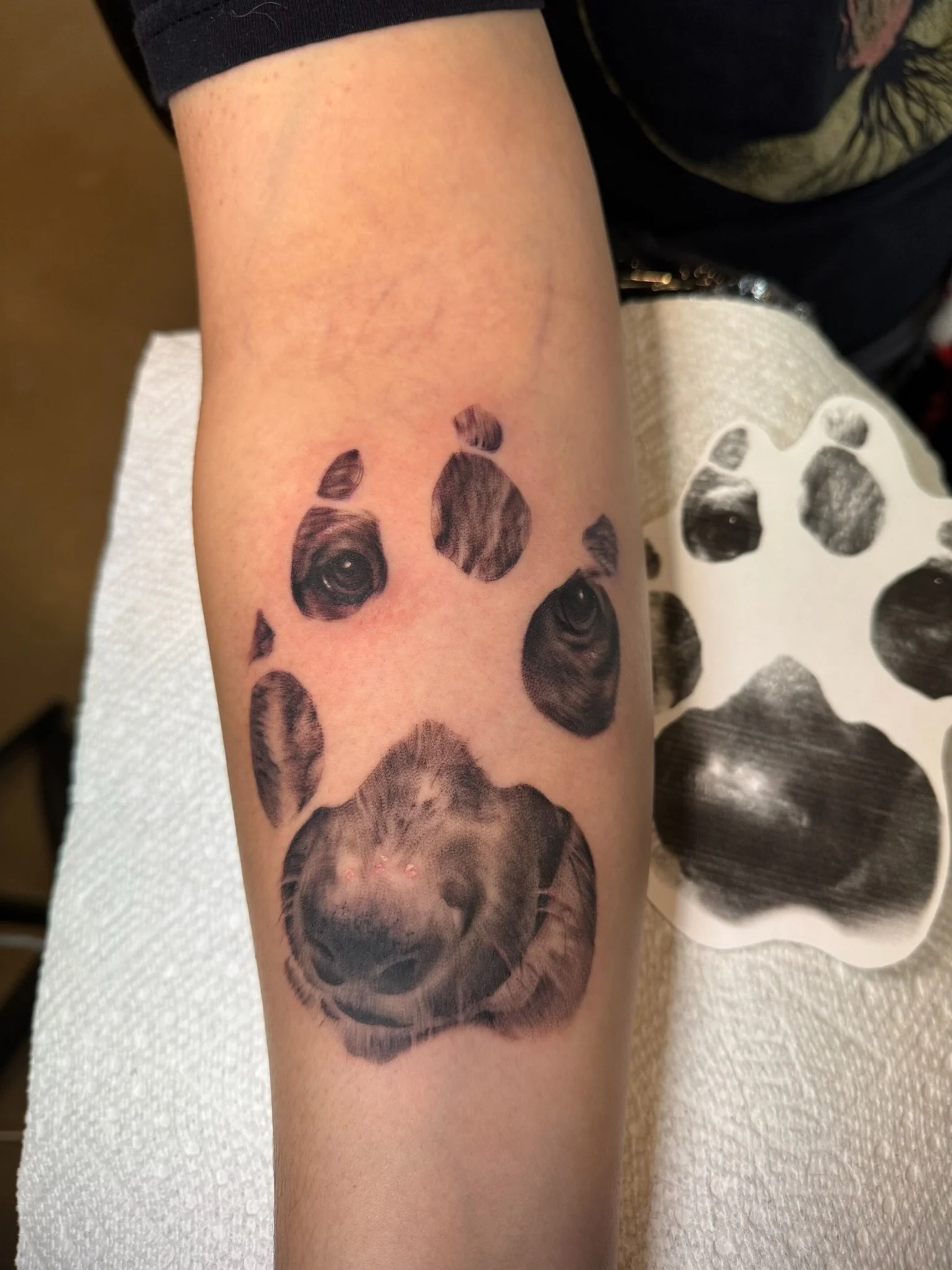 Close-up of a person's arm with a tattoo of a pig's face, with the pig's eyes and nose visible.