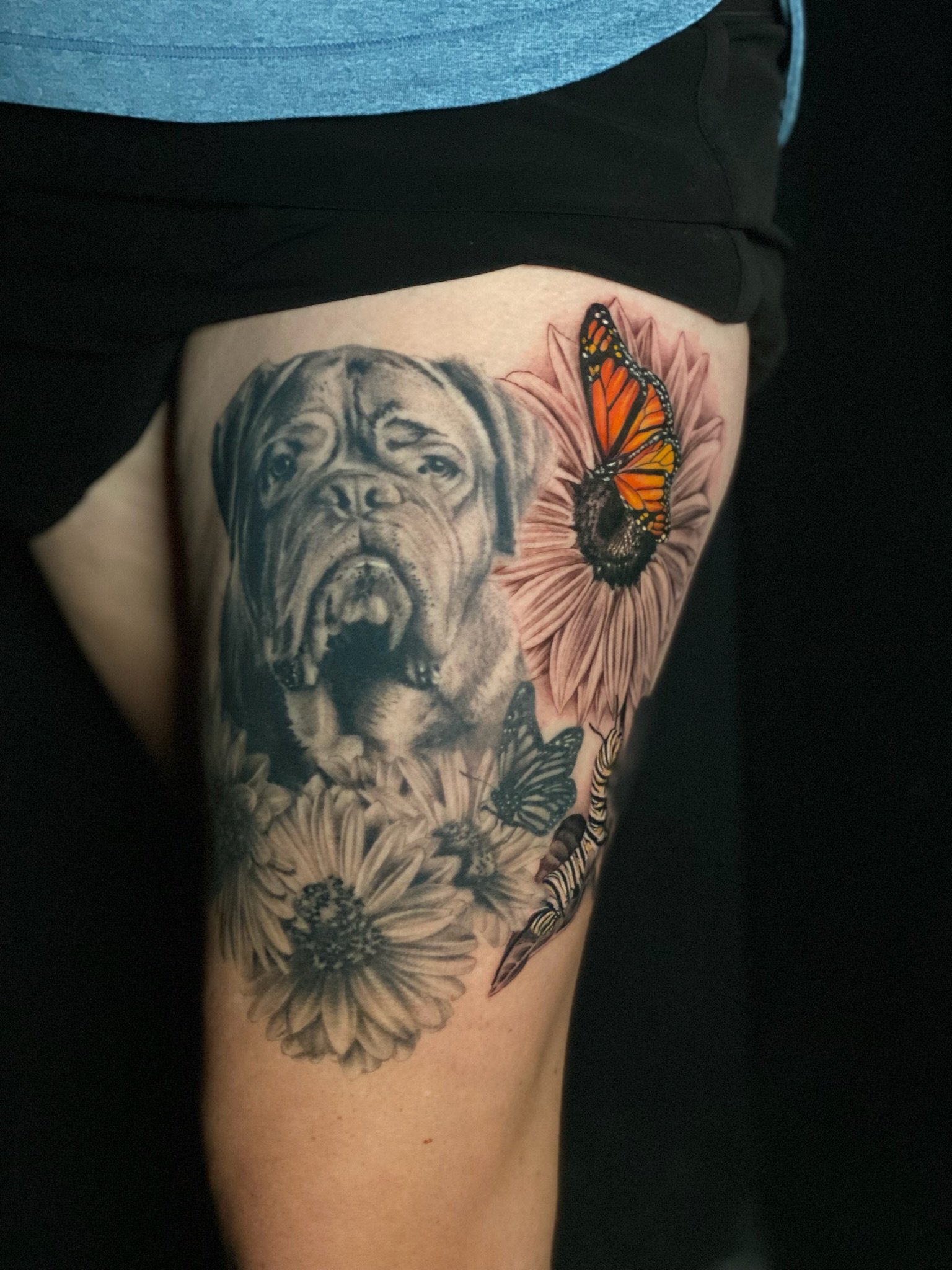 Close-up of a thigh tattoo featuring a detailed black and gray dog, vibrant orange and black monarch butterfly, a yellow and black tiger moth, and a pink sunflower.