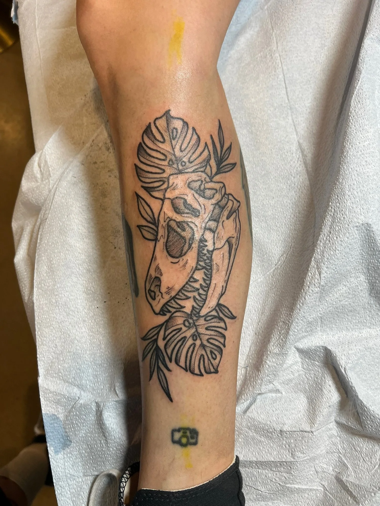 A black outline tattoo of a dinosaur skull with tropical leaves and Monstera leaves on a person's forearm.