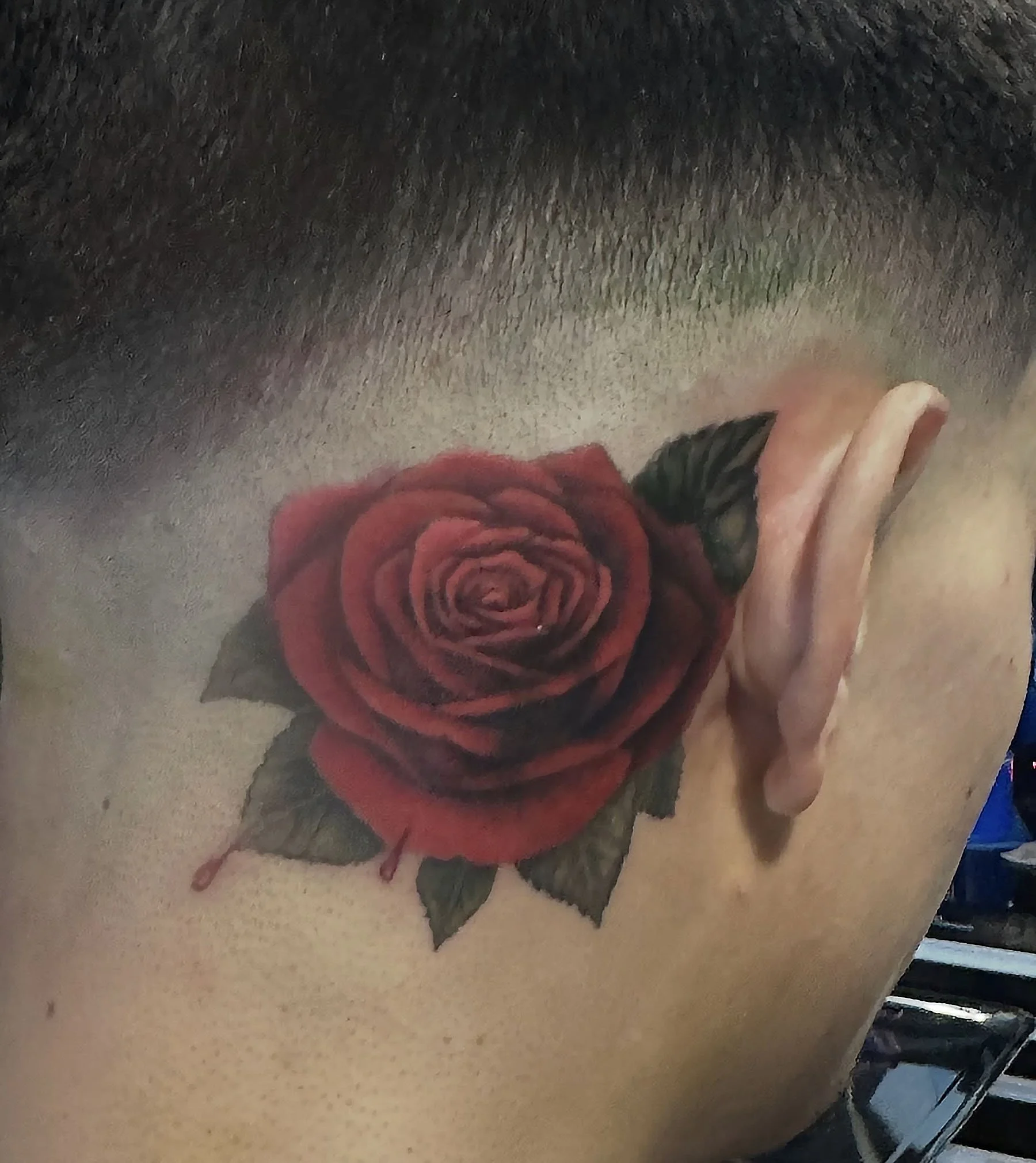 A tattoo of a red rose with green leaves on a person's skin.