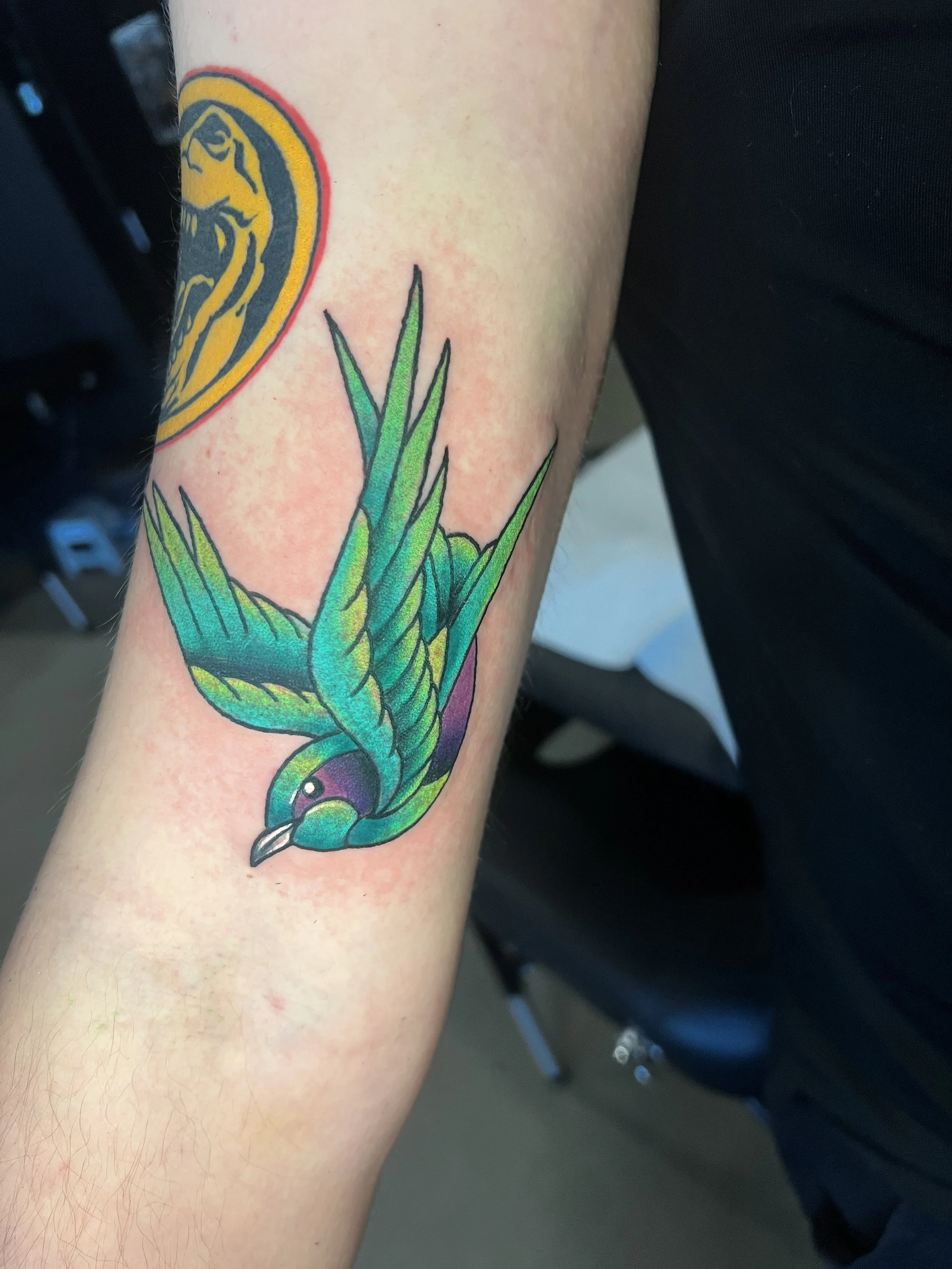Colorful tattoo of a hummingbird and green leaves on a person's arm.