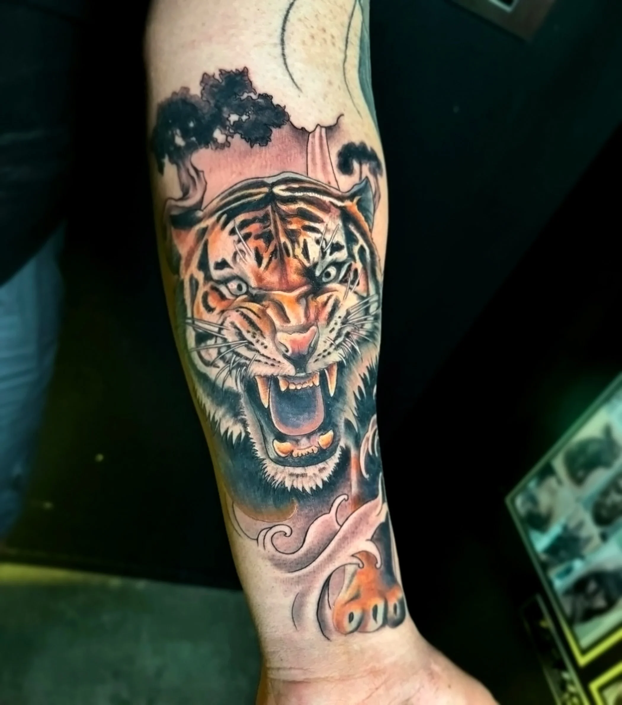 Colorful tattoo of a roaring tiger on a person's forearm.