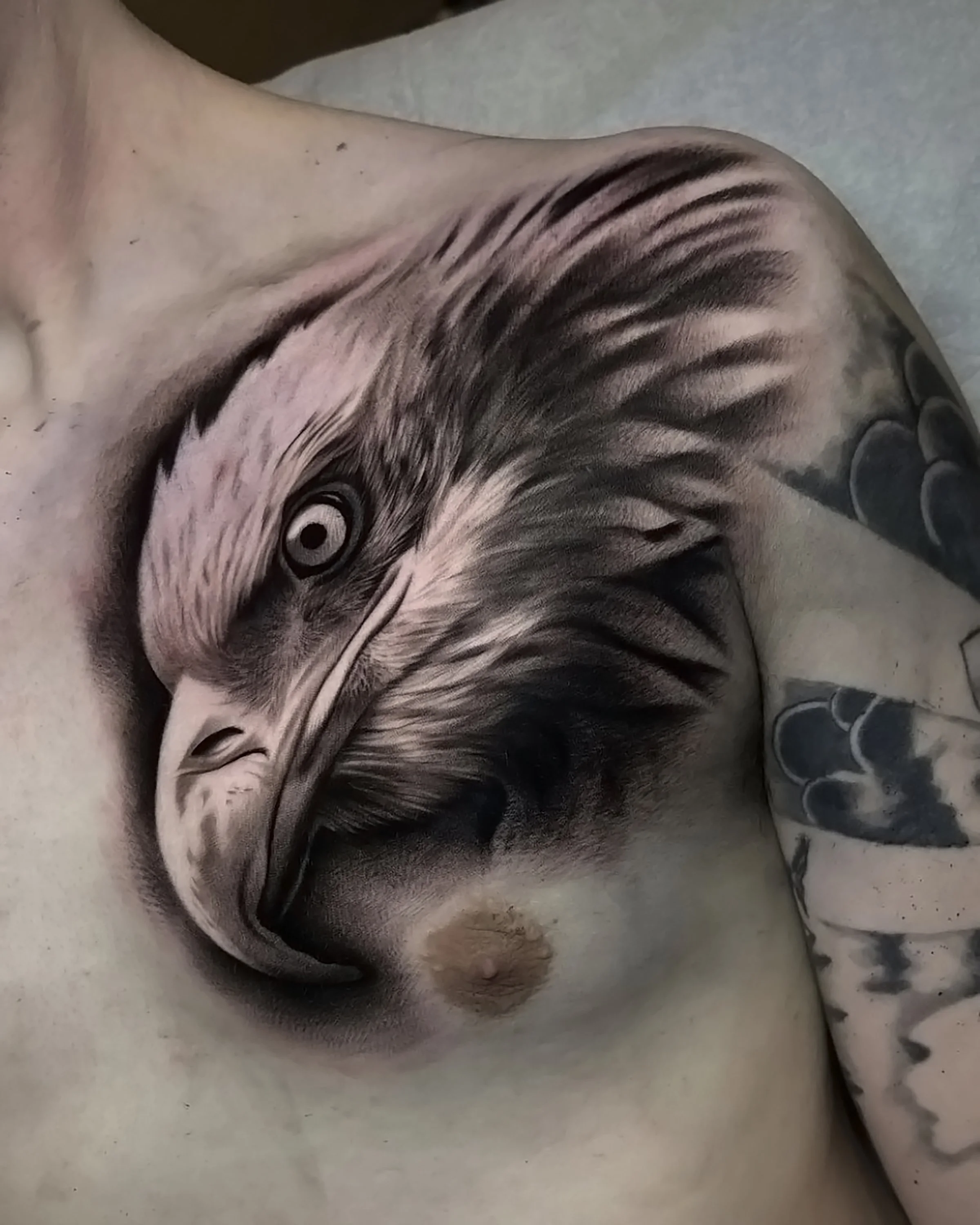 eagle.jpg