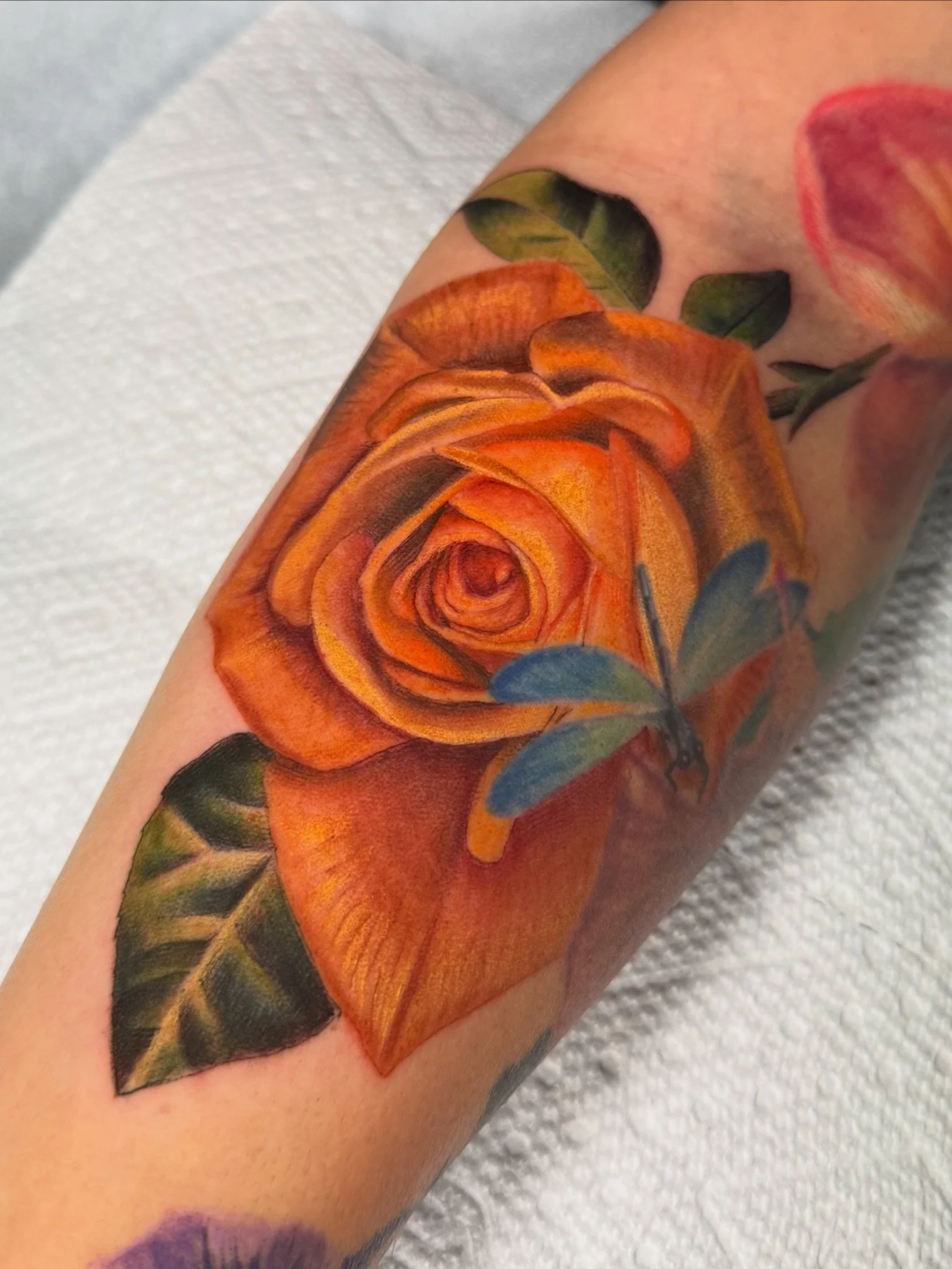 Colorful tattoo of an orange rose with green leaves on someone's arm.