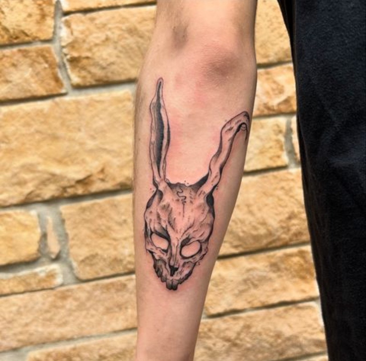Tattoo of a rabbit skull on a person's arm, with detailed line work and shading.