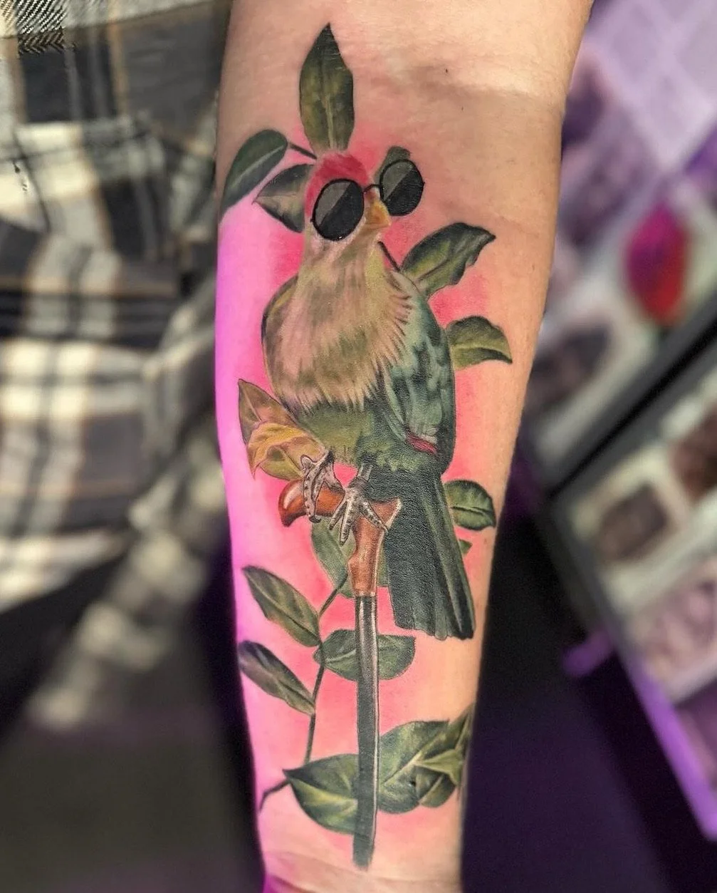 A tattoo of a bird with sunglasses, perched on a branch with green leaves, painted on a person's arm with a pink background.
