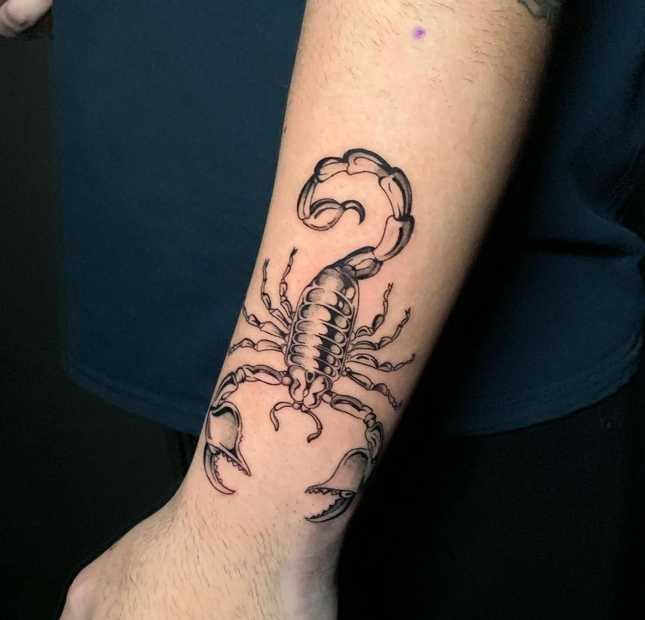 Tattoo of a scorpion on a person's forearm.