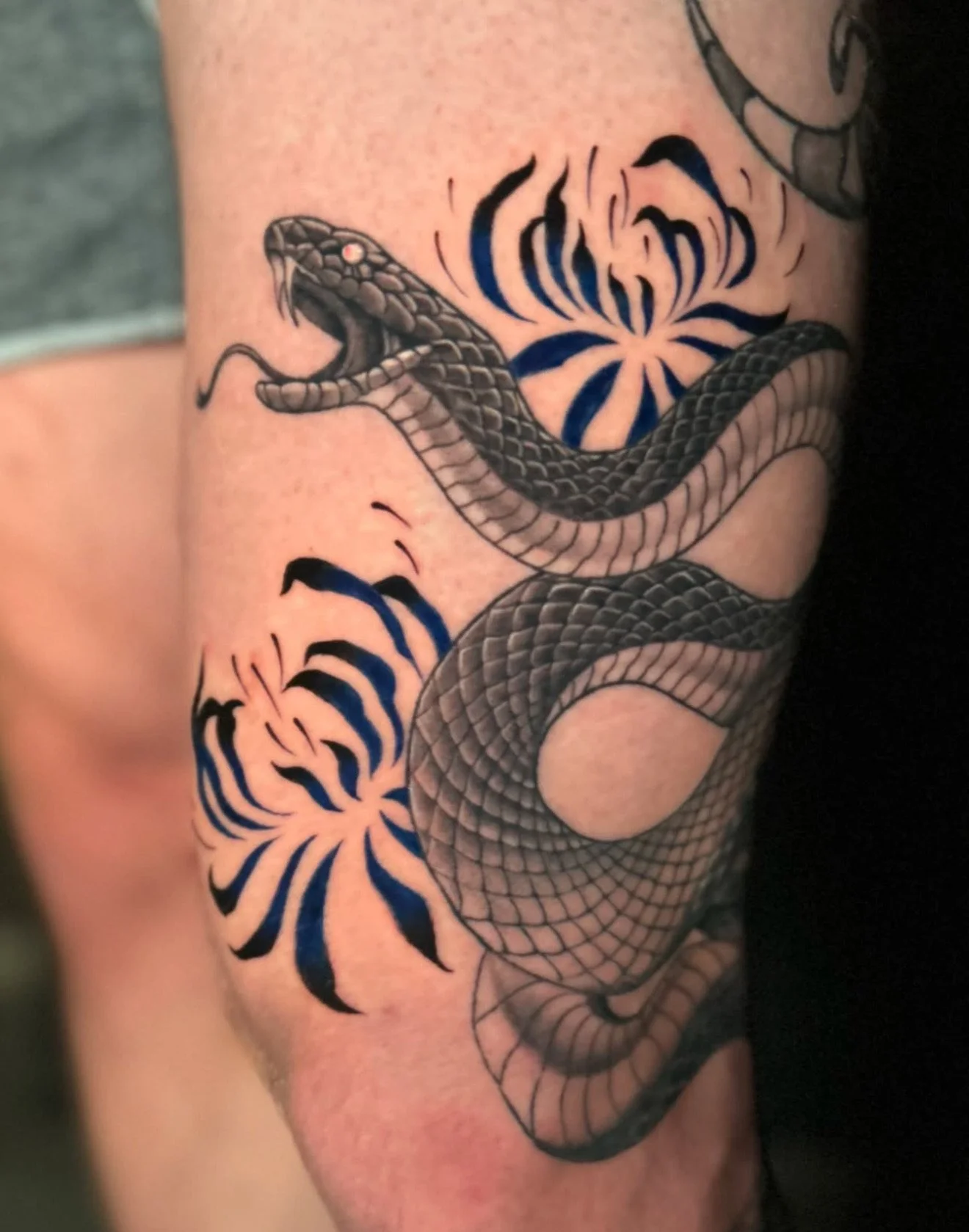 Tattoo of a black and gray snake coiled around blue and black floral patterns on person's arm.