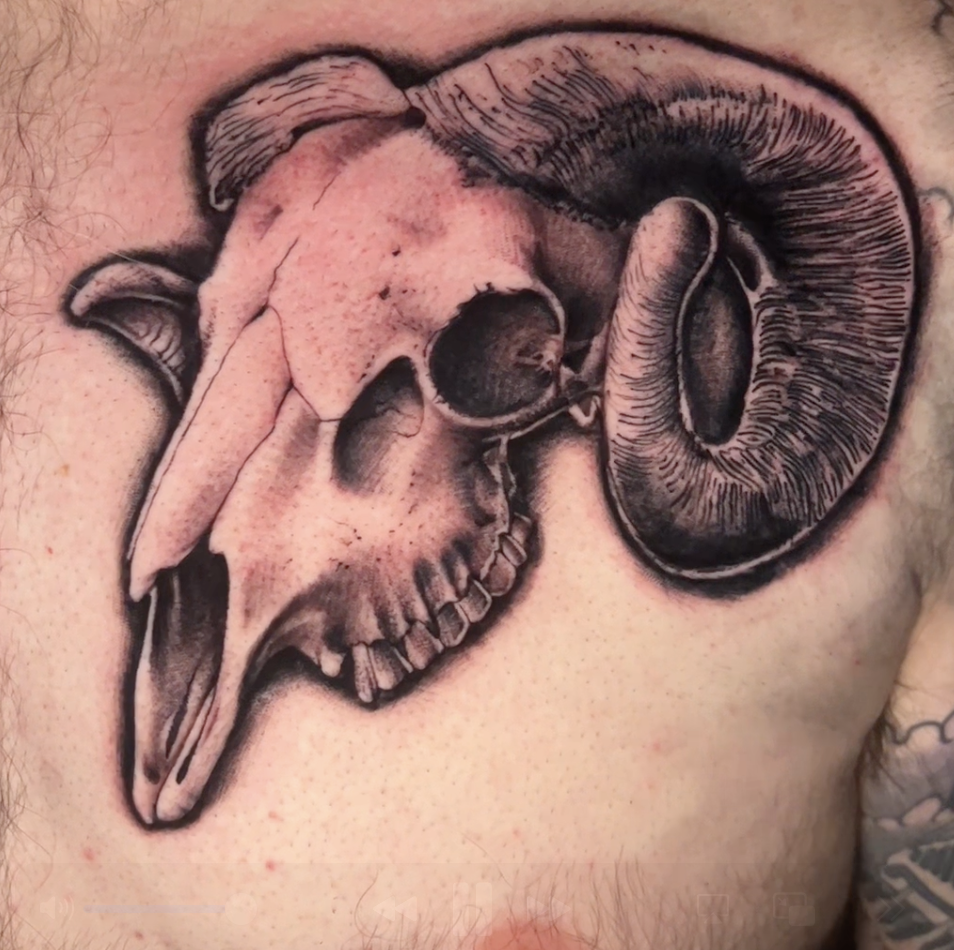 a large black and grey ram skull tattoo on the left side of a man's chest in a realistic style