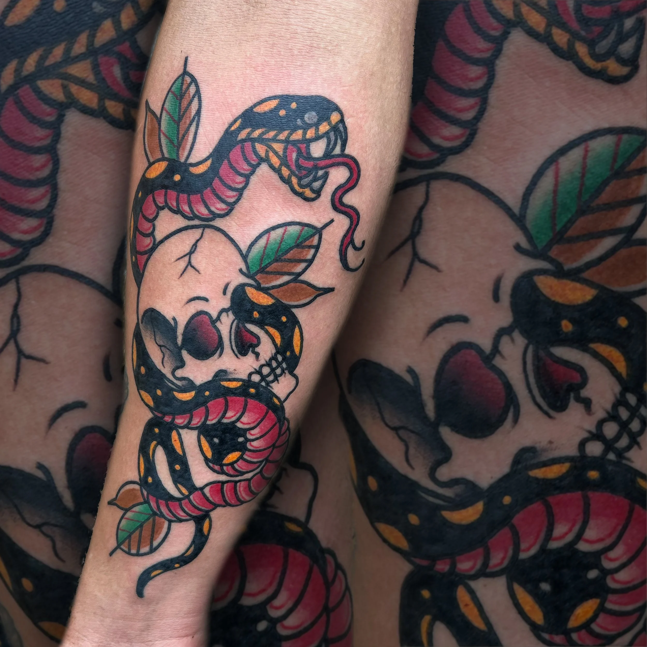 a colorful traditional tattoo on a person's forearm of a snake going through a skull with green leaves surrounding